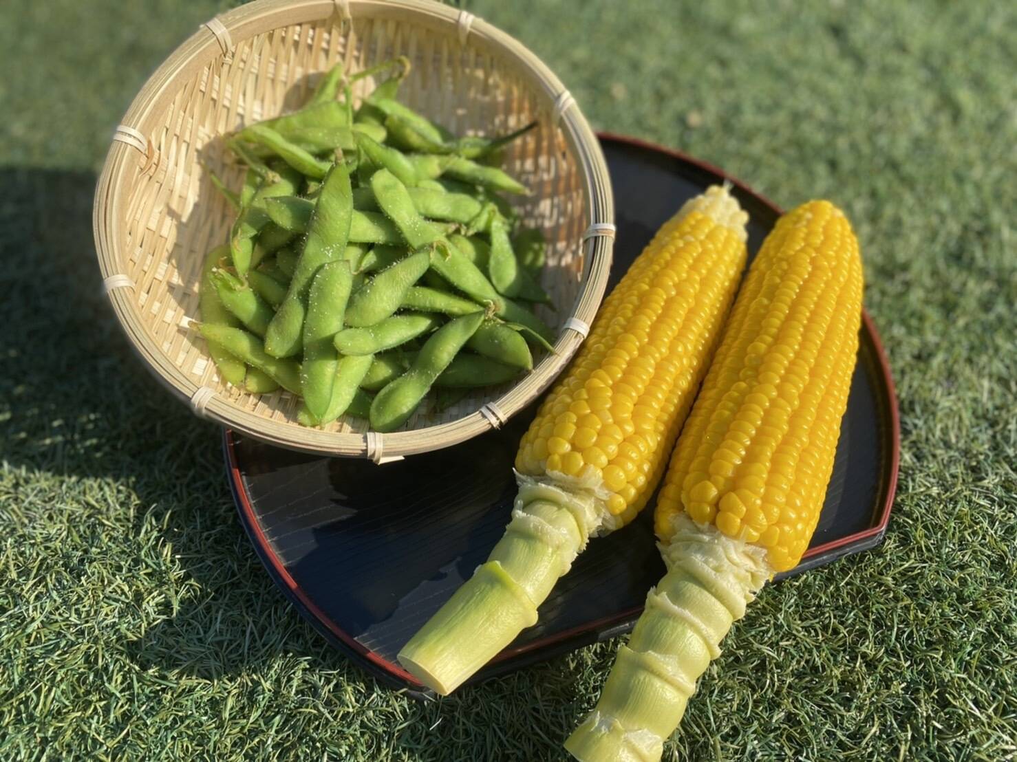 送料込み 夏吉祥 とうもろこし なつきっしょう ギフト 中元 使用 北海道産 国産 贈り物 購入 なつきっしょう