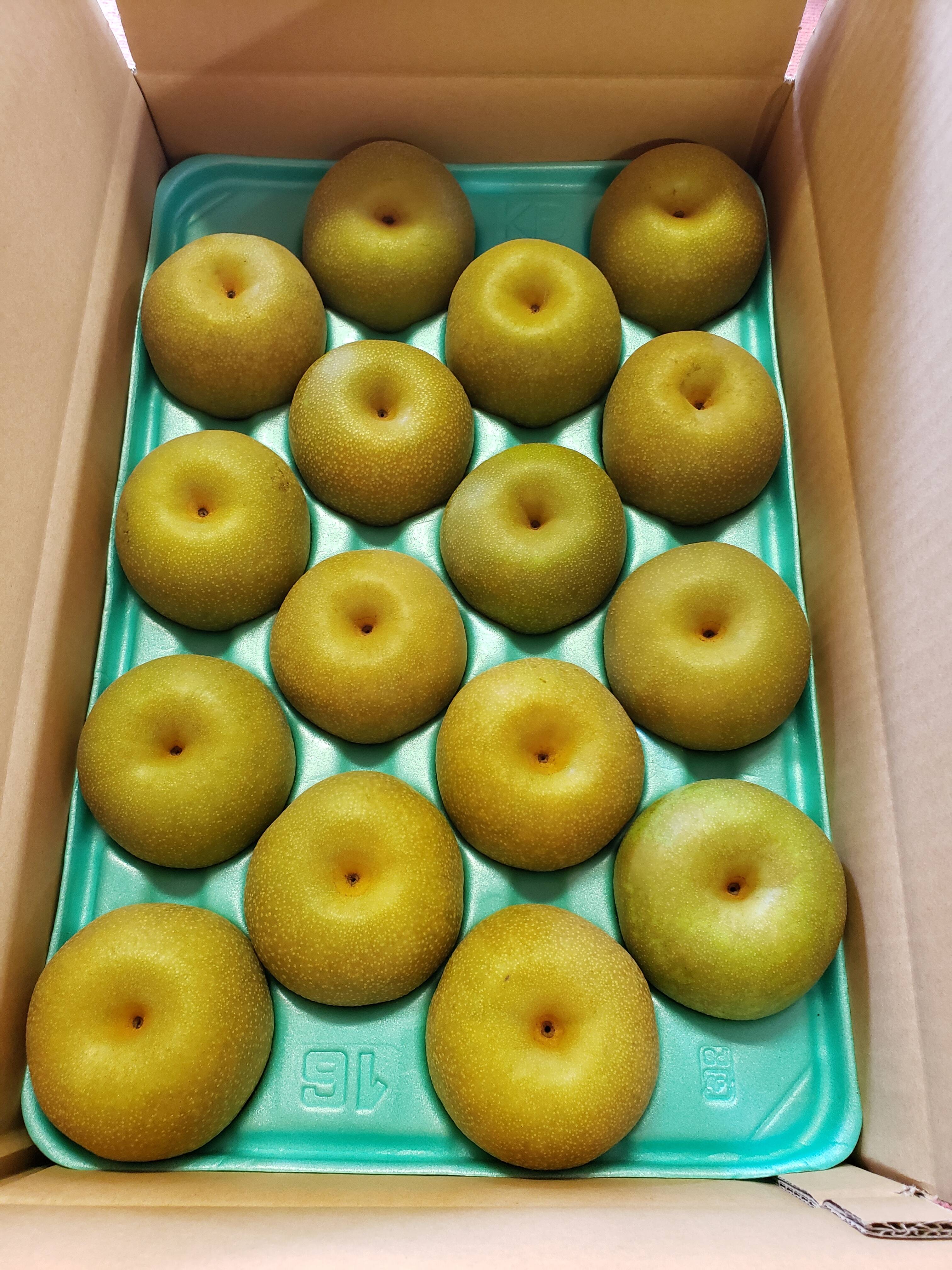 贈答品】梨 幸水 秀品 5Kg箱 中玉（16玉 ~ 18玉)_2025：千葉県産