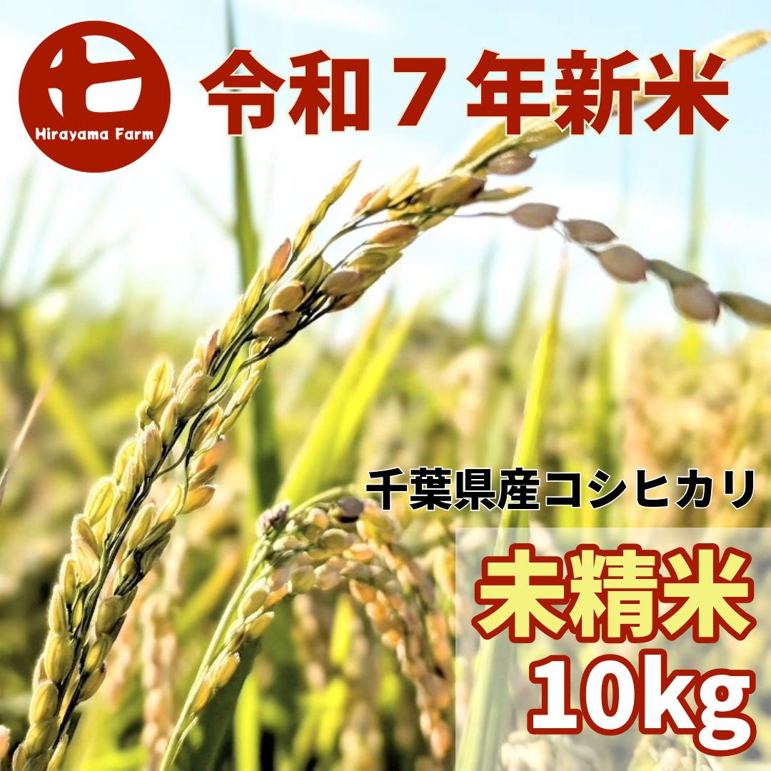 未精米【NHKで紹介】【令和7年新米】ヒラヤマファームの米（10kg