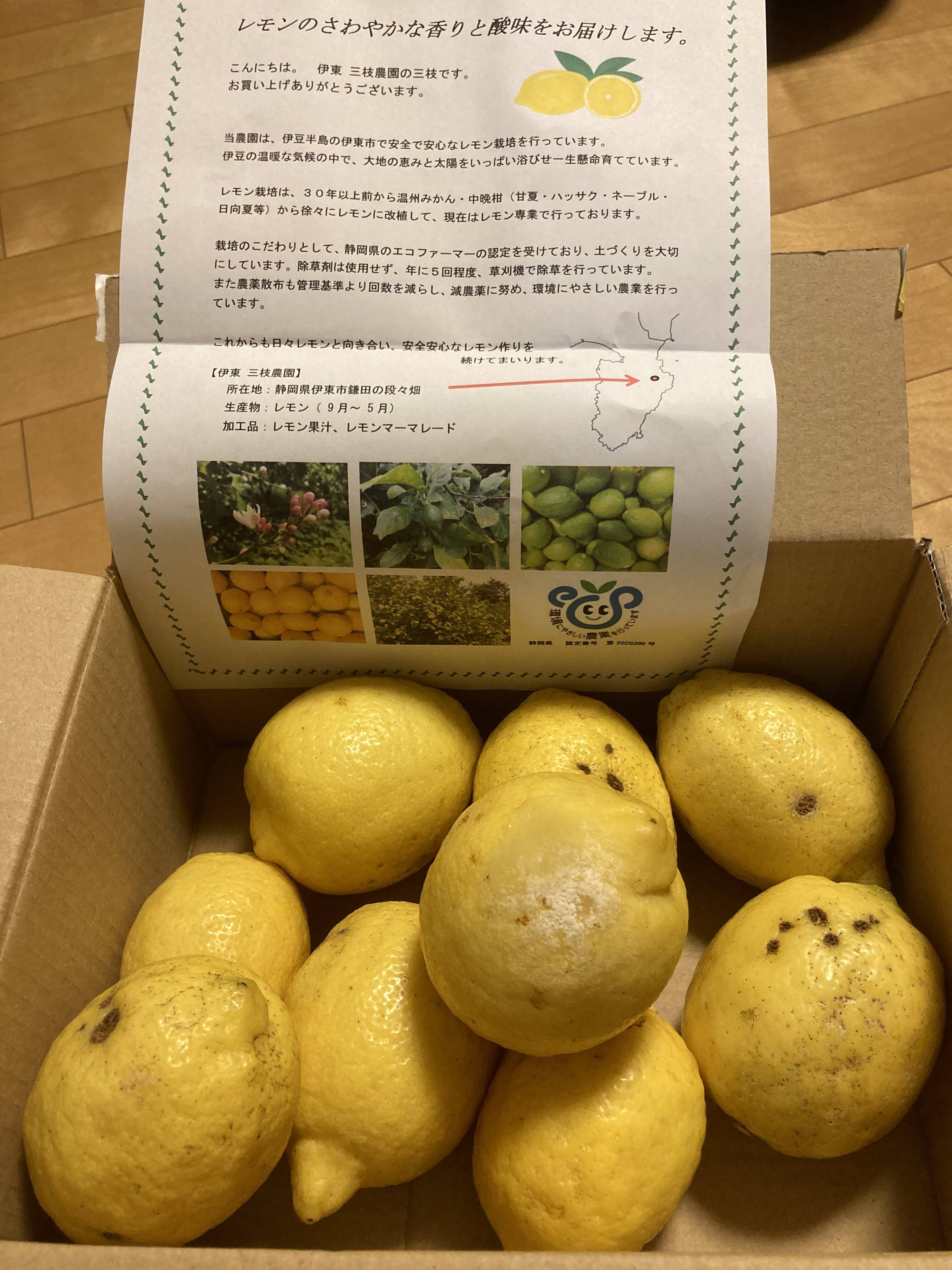 Reiさんが伊東 三枝農園さんの ｃ級品 さわやかな香りと酸味 エコレモン1 5 伊豆伊東産 が 届いたよ を投稿しました 食べチョク