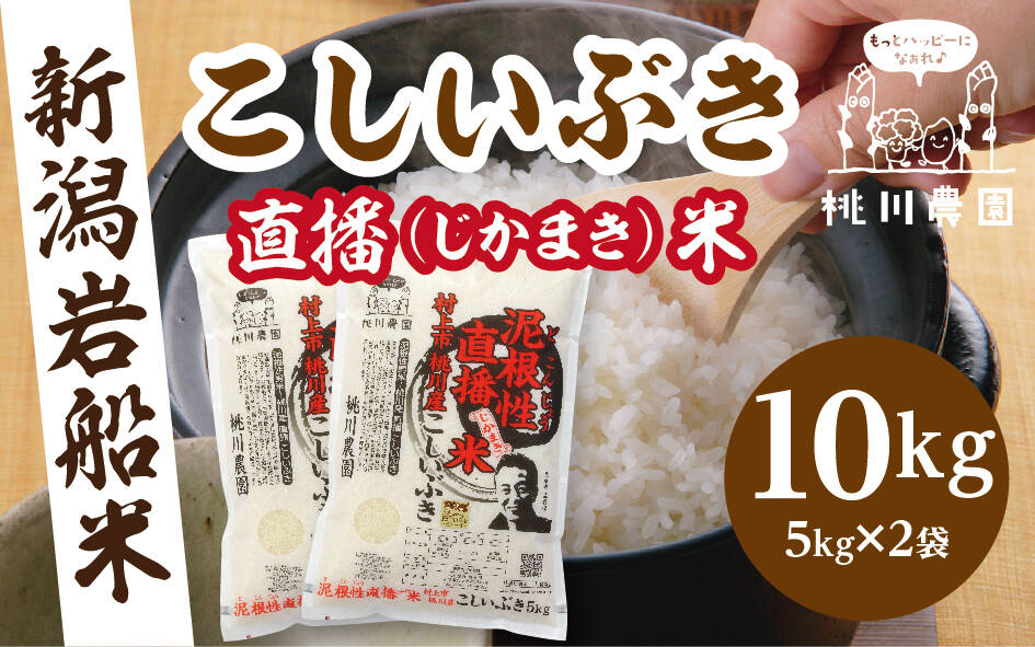 玄米10キロ 新潟県産こしいぶき 特別栽培米 4年産 低温冷蔵貯蔵 - 米