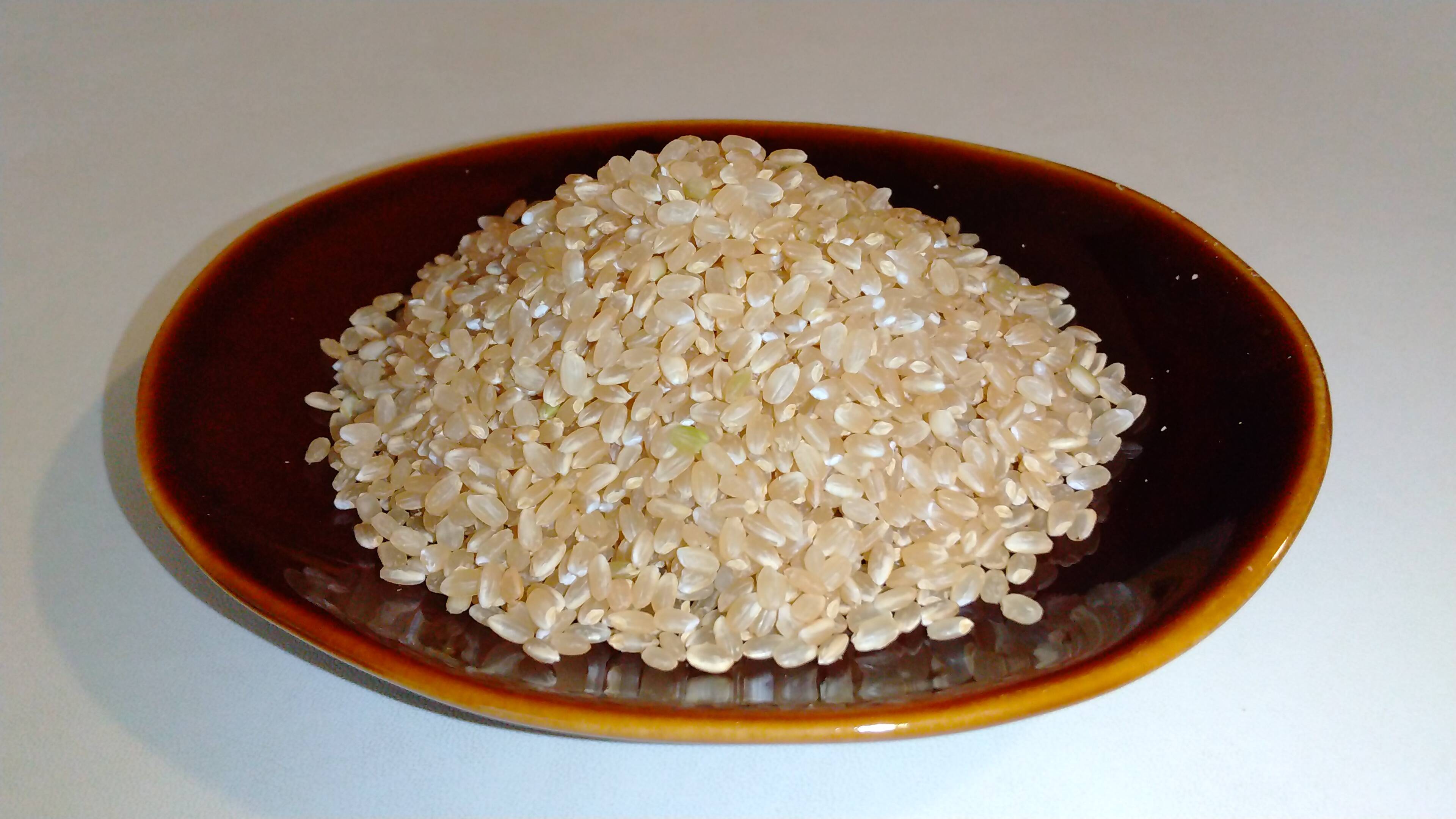 玄米10キロ 新米 2024年9月2日稲刈り