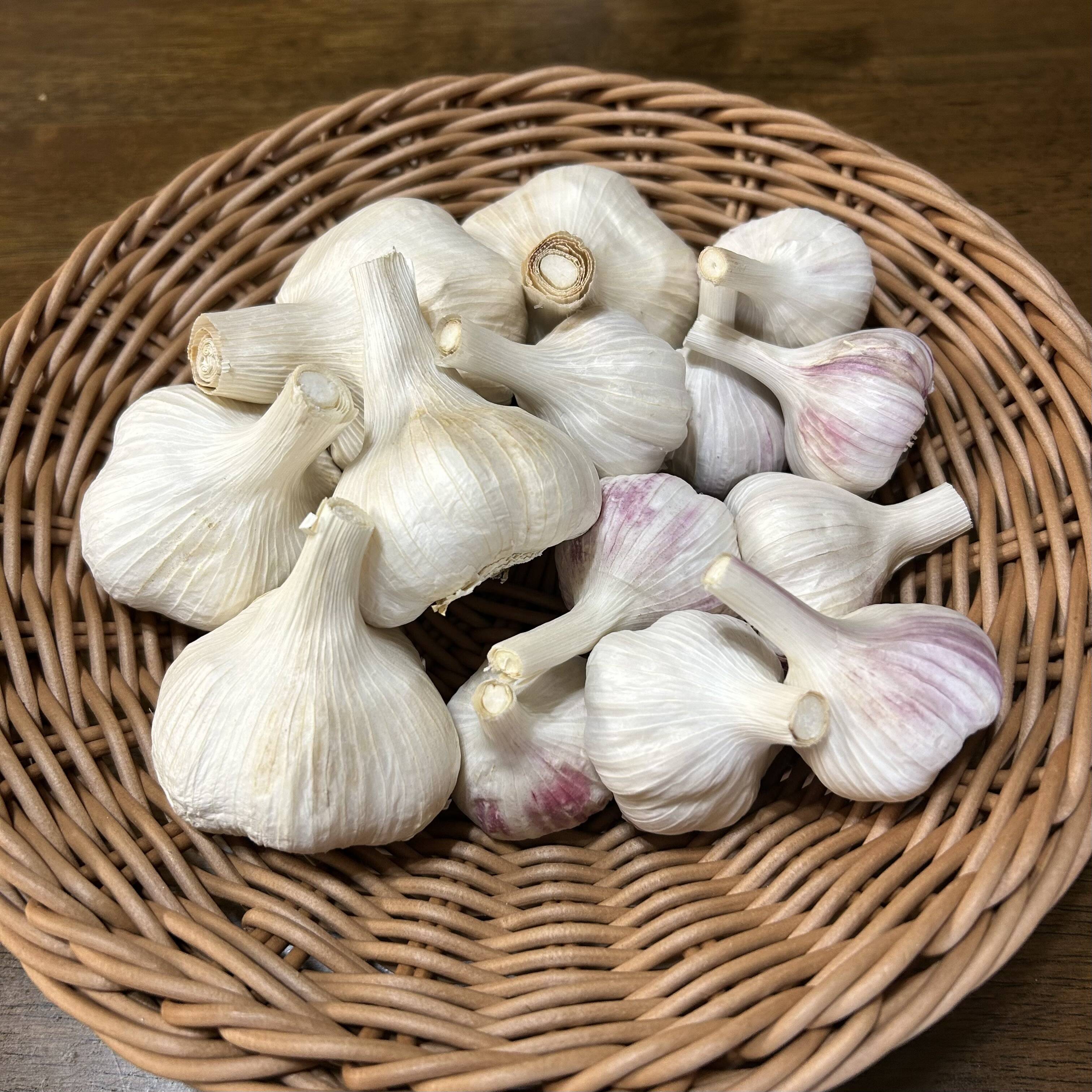 にんにく 農薬不使用栽培『ホワイト六片・島にんにく』セット【岐阜県郡上市産