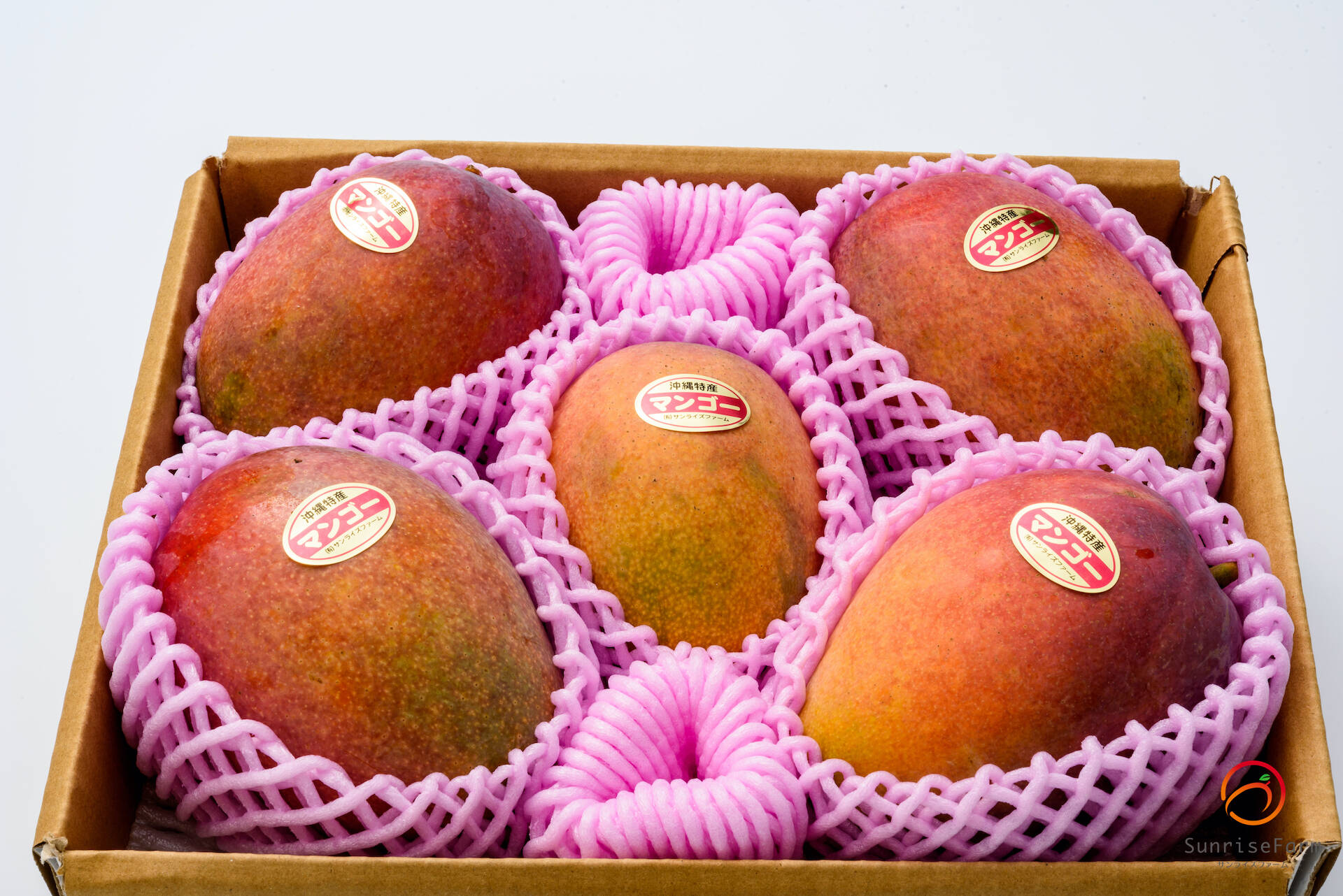 7月発送】ご自宅用 アップルマンゴー【約2kg】：沖縄県産のマンゴー ...