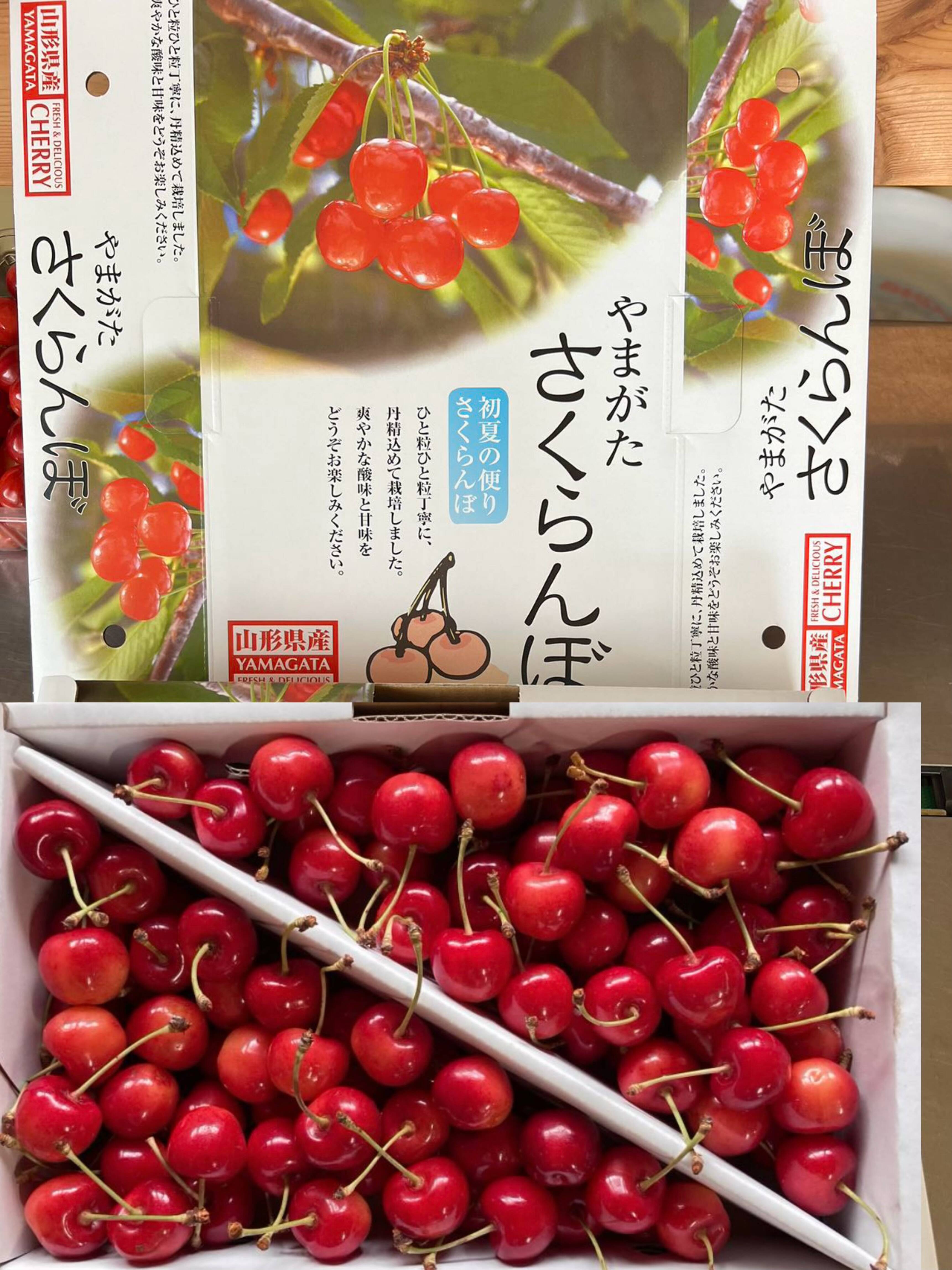 2026年予約販売 山形県産さくらんぼ 佐藤錦 1kg バラ詰め：山形県産の