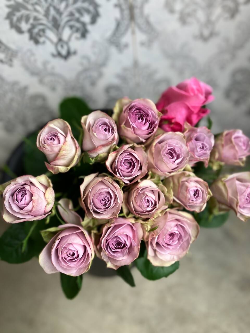 6/26または6/27お届け【ライラッククラシック12本】☆ラベンダー色の