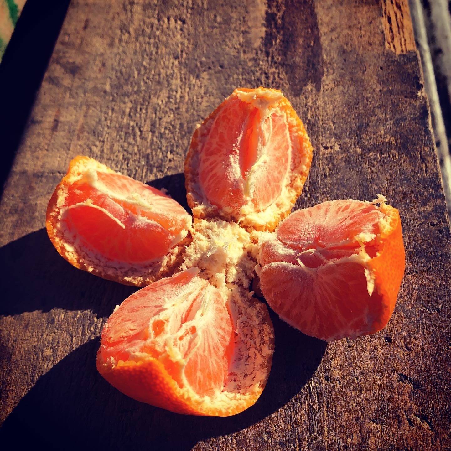 極上の美味しさ有田みかん5kg！糖度13度だけ！：和歌山県産のみかん・柑橘類｜食べチョク｜産地直送(産直)お取り寄せ通販 農家・漁師から旬の食材を直送