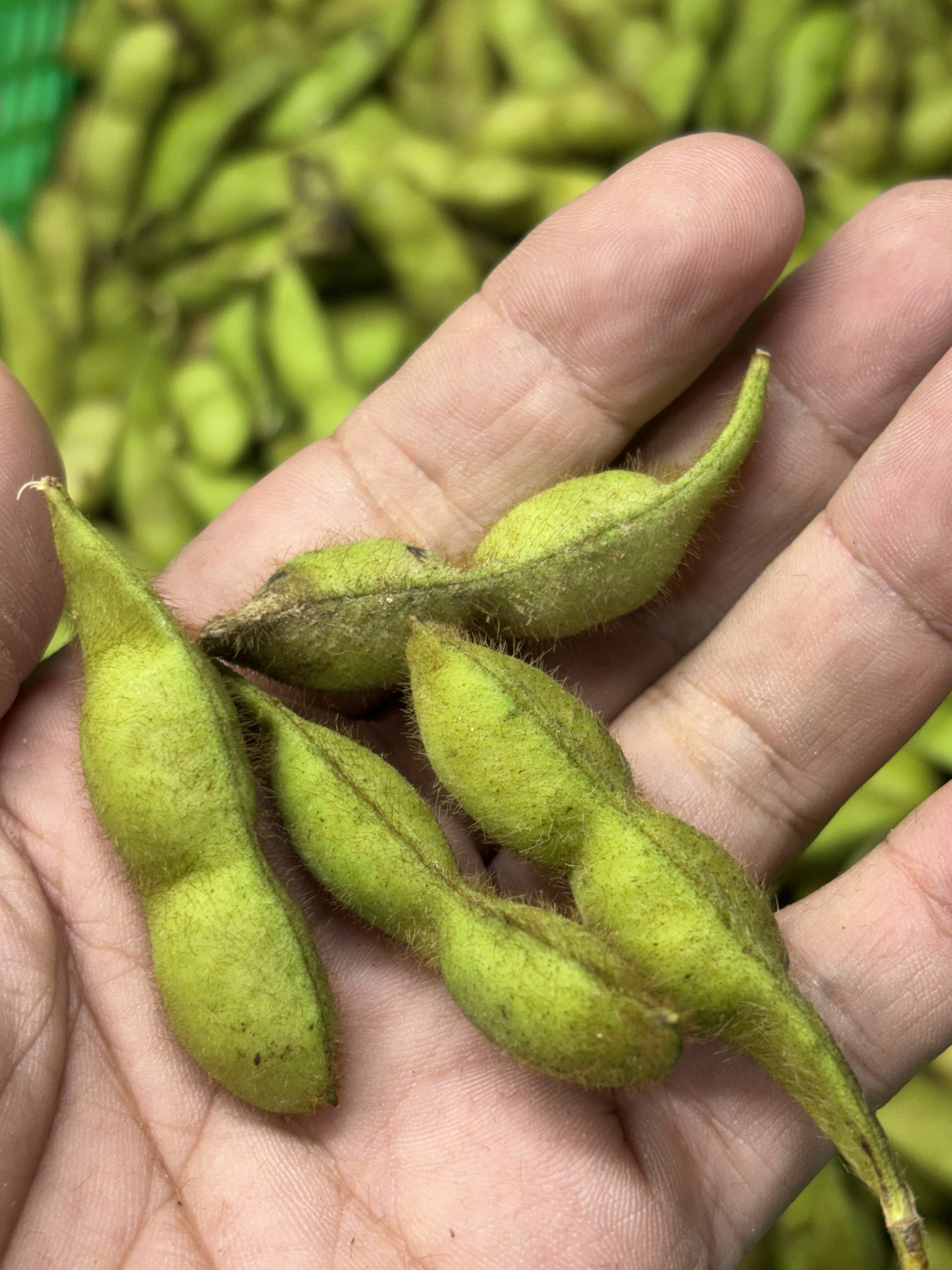 31944fb2c771f02674ab464f776953