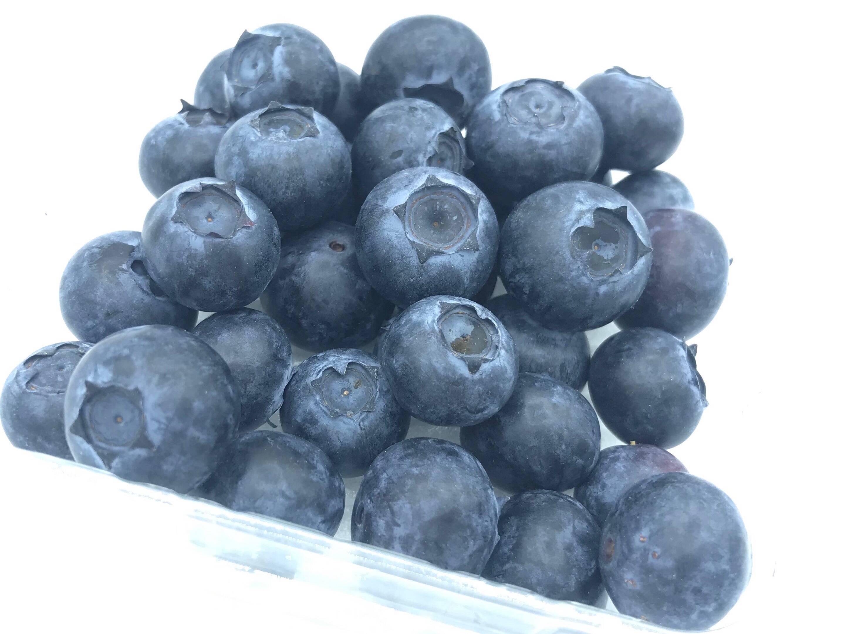 太陽いっぱい大地のジュエリー 浜松ブルーベリー 800ｇ 静岡県産 食べチョク 農家 漁師の産直ネット通販 旬の食材を生産者直送