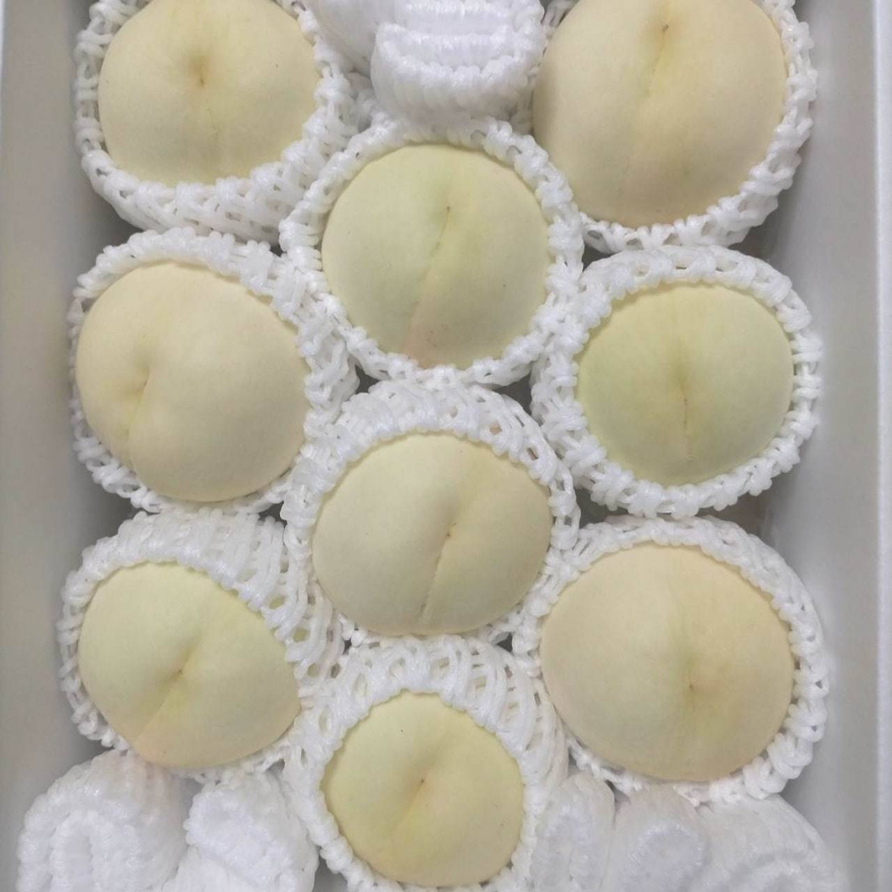 岡山県産白桃（白麗） 2kg箱(8～9玉) 【家庭用】【朝どれ】【夏ギフト