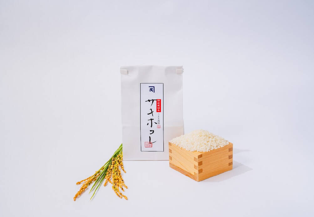 関東着限定】希少品種高級 秋田県産 特別栽培サキホコレ 5kg×3