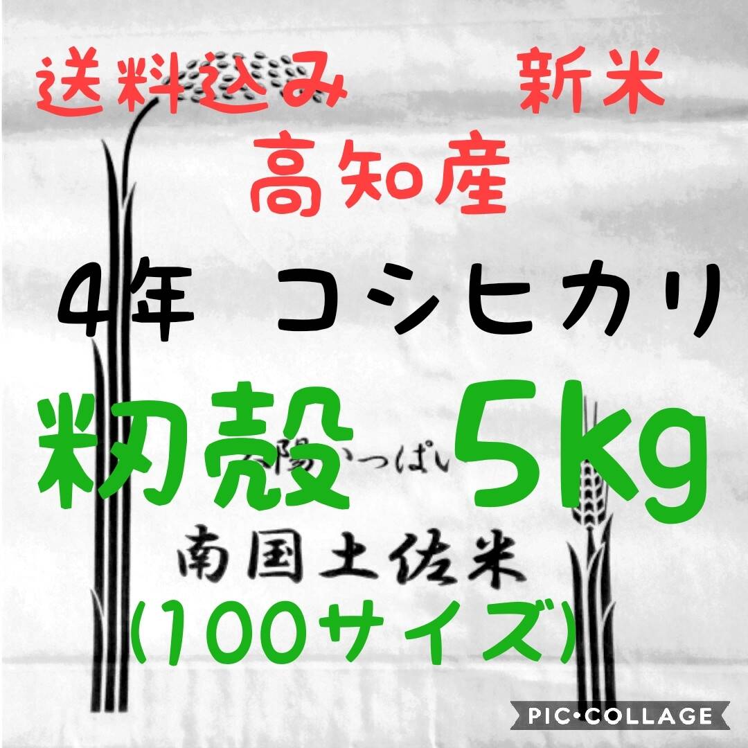 値段が激安 - 高知県産 コシヒカリ 精米処理後 即発送 - ビジネス 激安