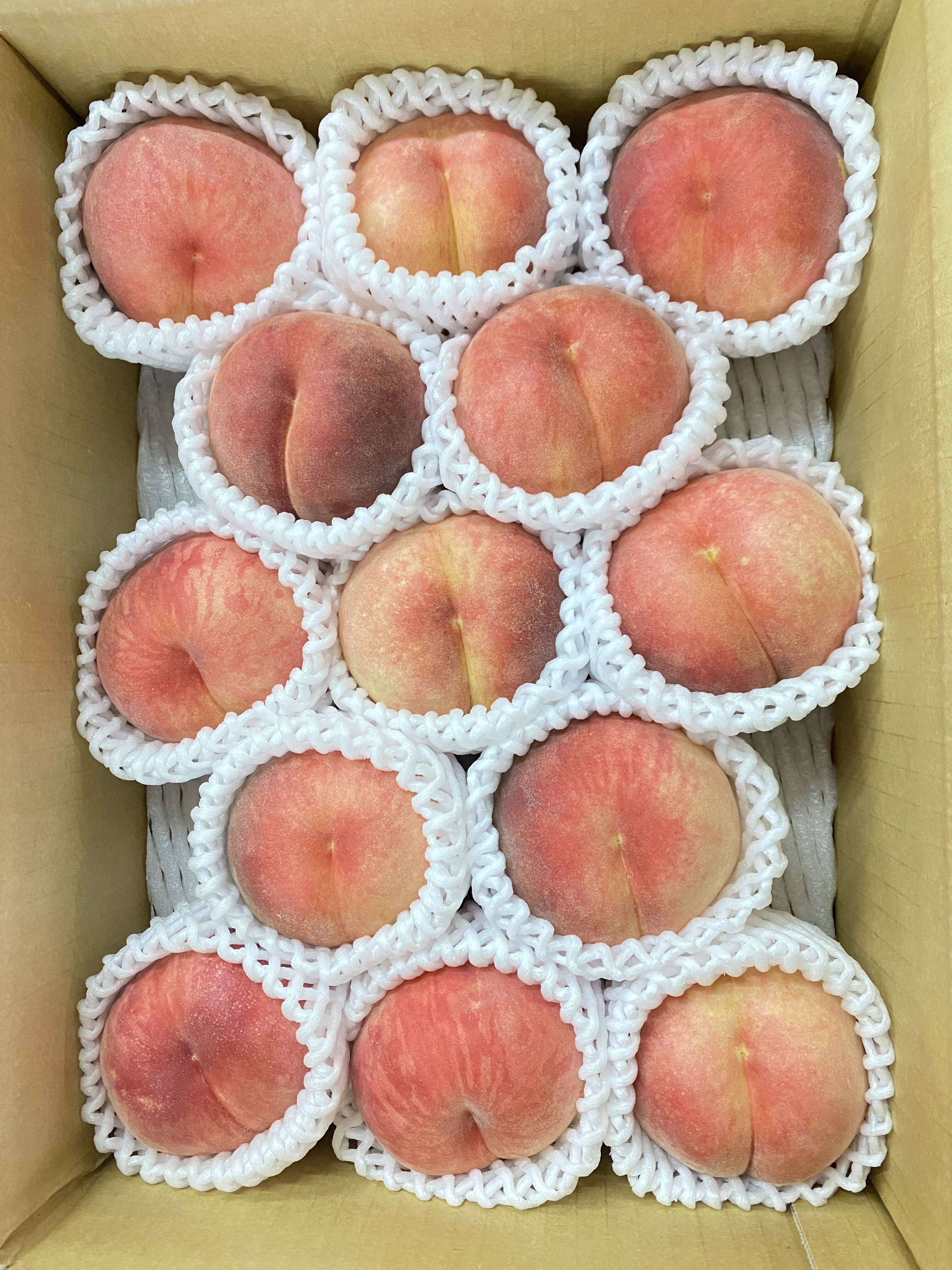 本日発送！最終！！一押し！！ももちゃんの桃　品種　さくら白桃　3キロ箱　ワケあり