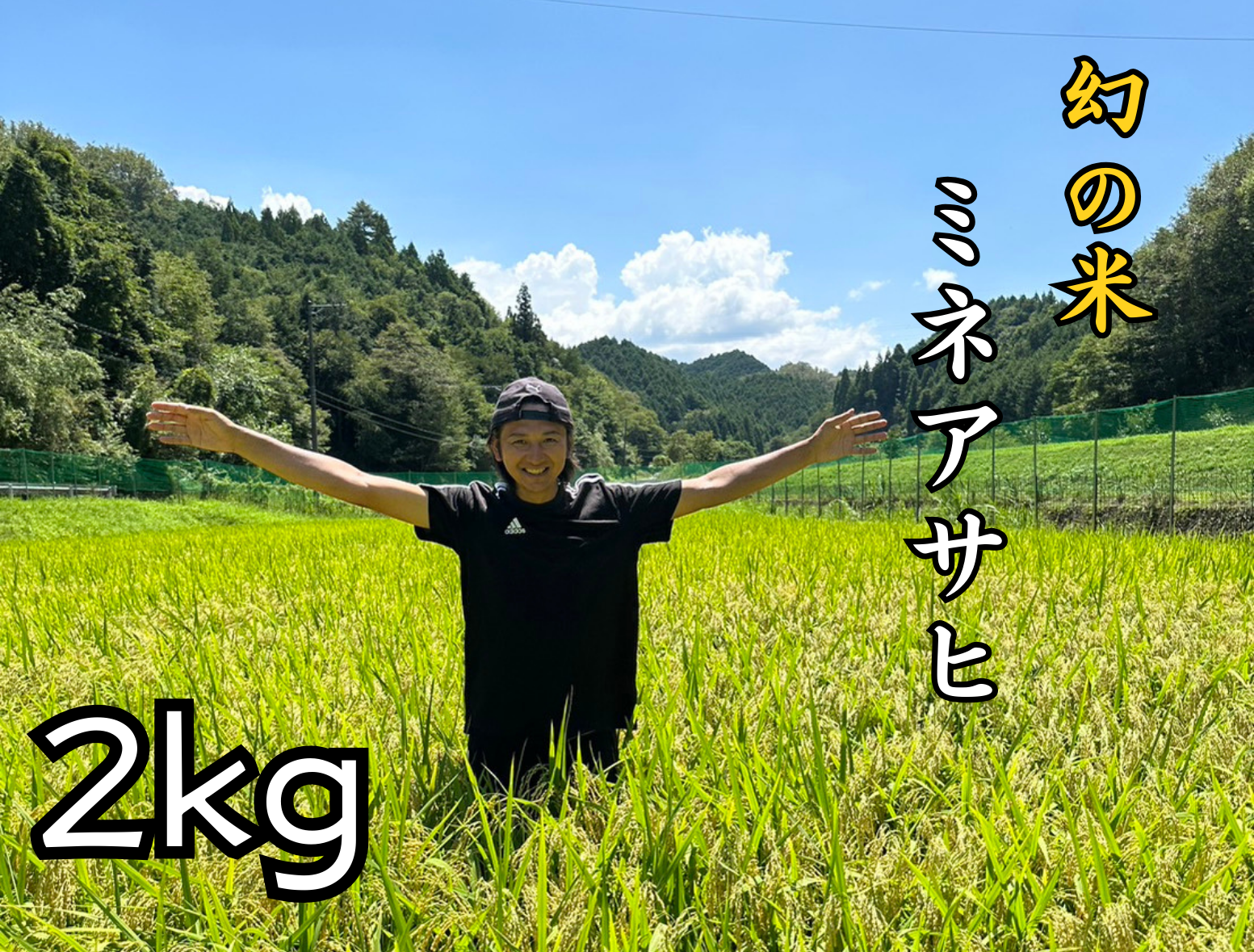 農家直送 特別栽培米 新米2025『ミネアサヒ』 令和7年産 2キロ