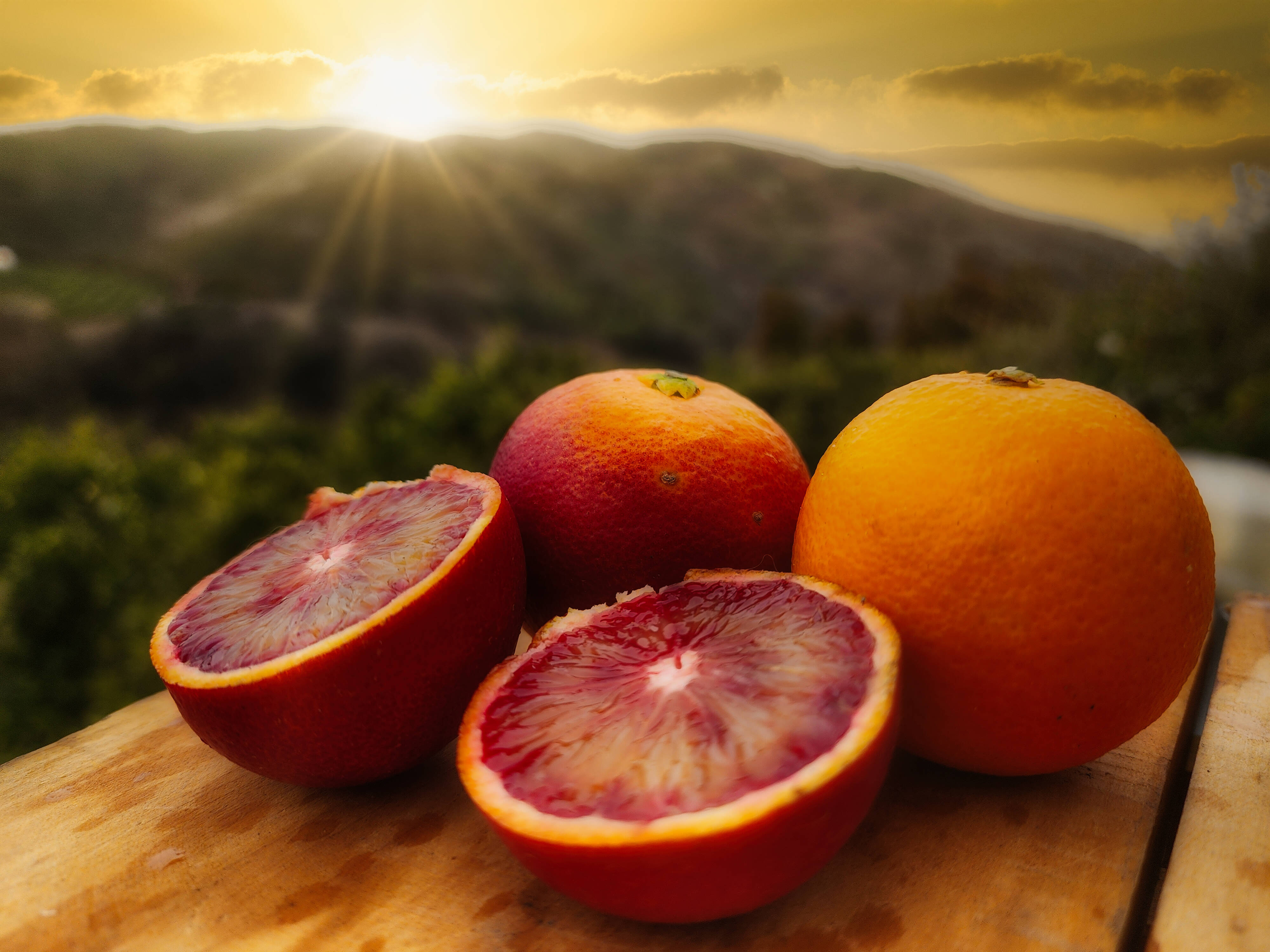 箱込約5㌔ ブラッドオレンジモロ マニアが好む超小粒 味の濃い果実