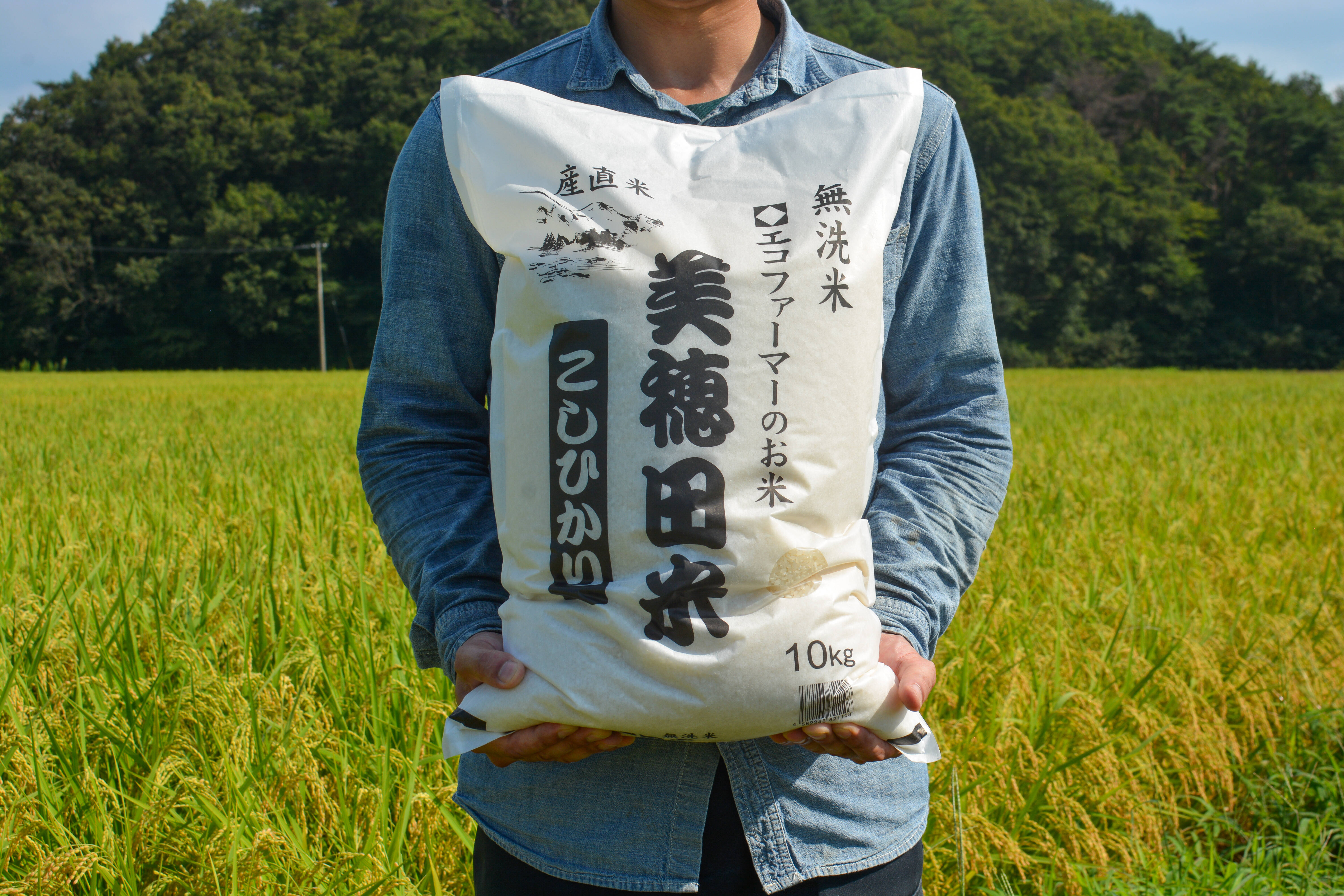 洗わず炊ける無洗米！令和7年産 美穂田米 コシヒカリ 10kg｜冷めても