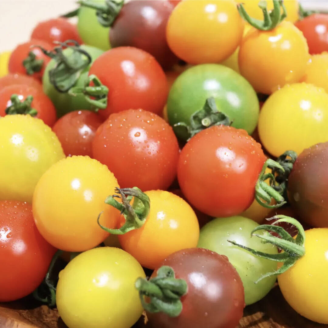 トマト型置物 オレンジ色