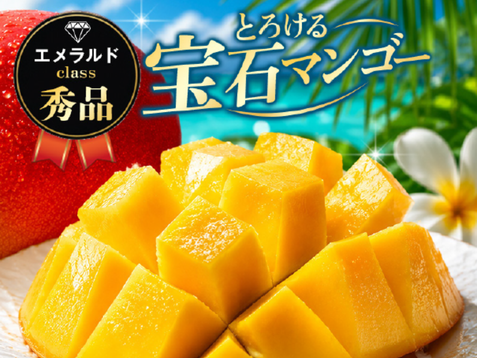 贈答用 秀品】宝石マンゴー（アーウィンマンゴー）2㎏：沖縄県産の