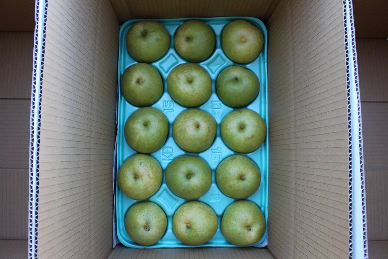 家庭用ハネ桃 16玉 5㎏ 通販