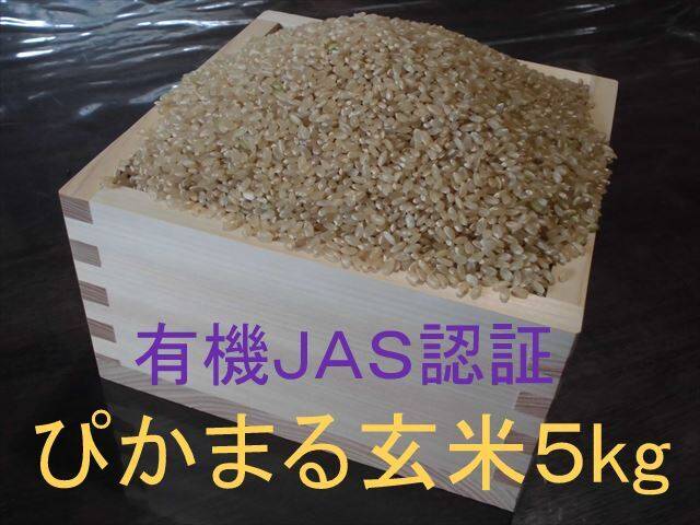 有機JAS認証【農薬不使用「ぴかまる」玄米5kg】美味しくもちもち柔らか