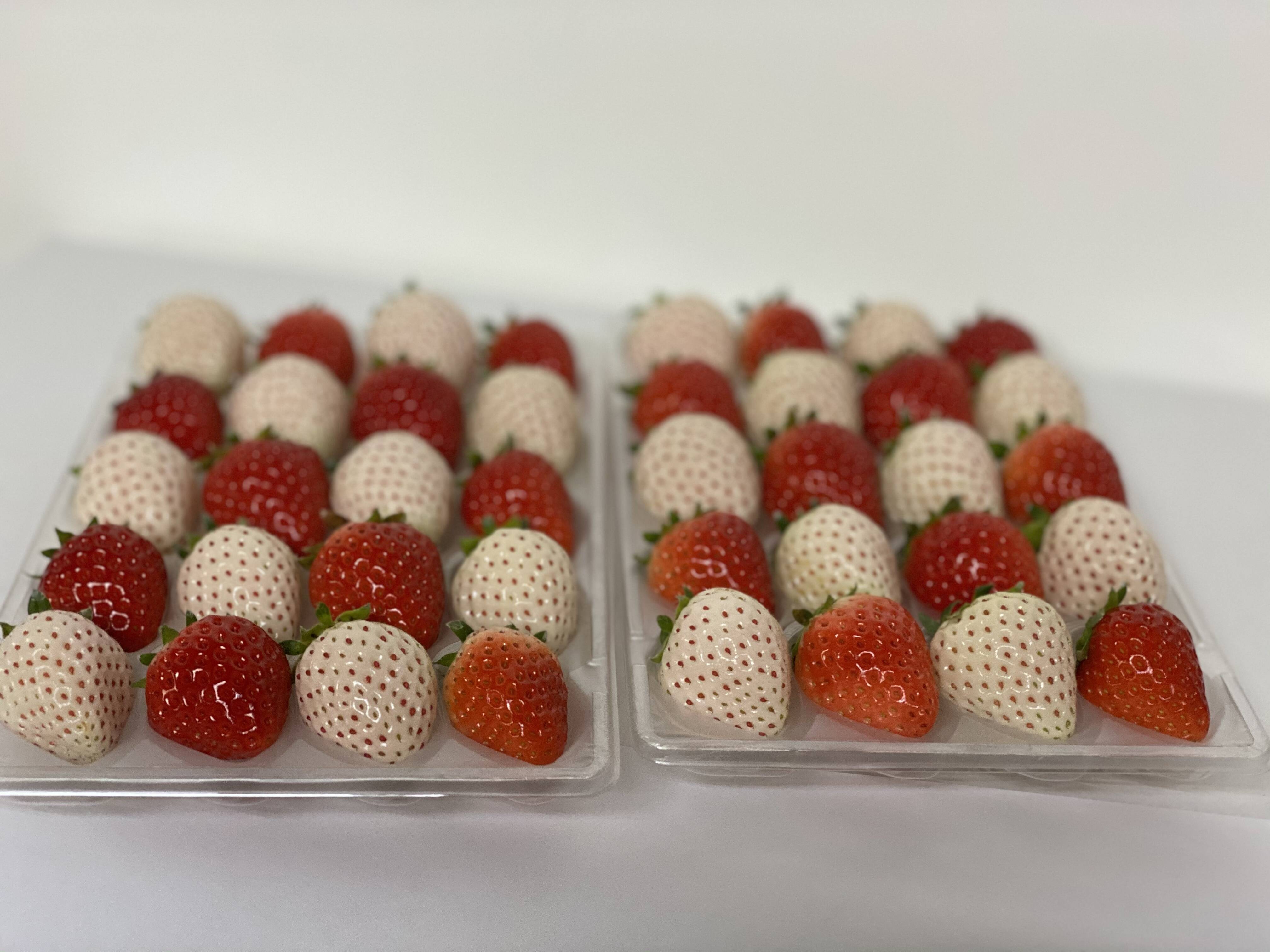 赤♡白いちごセット：佐賀県産の天使のいちご｜食べチョク｜産地直送