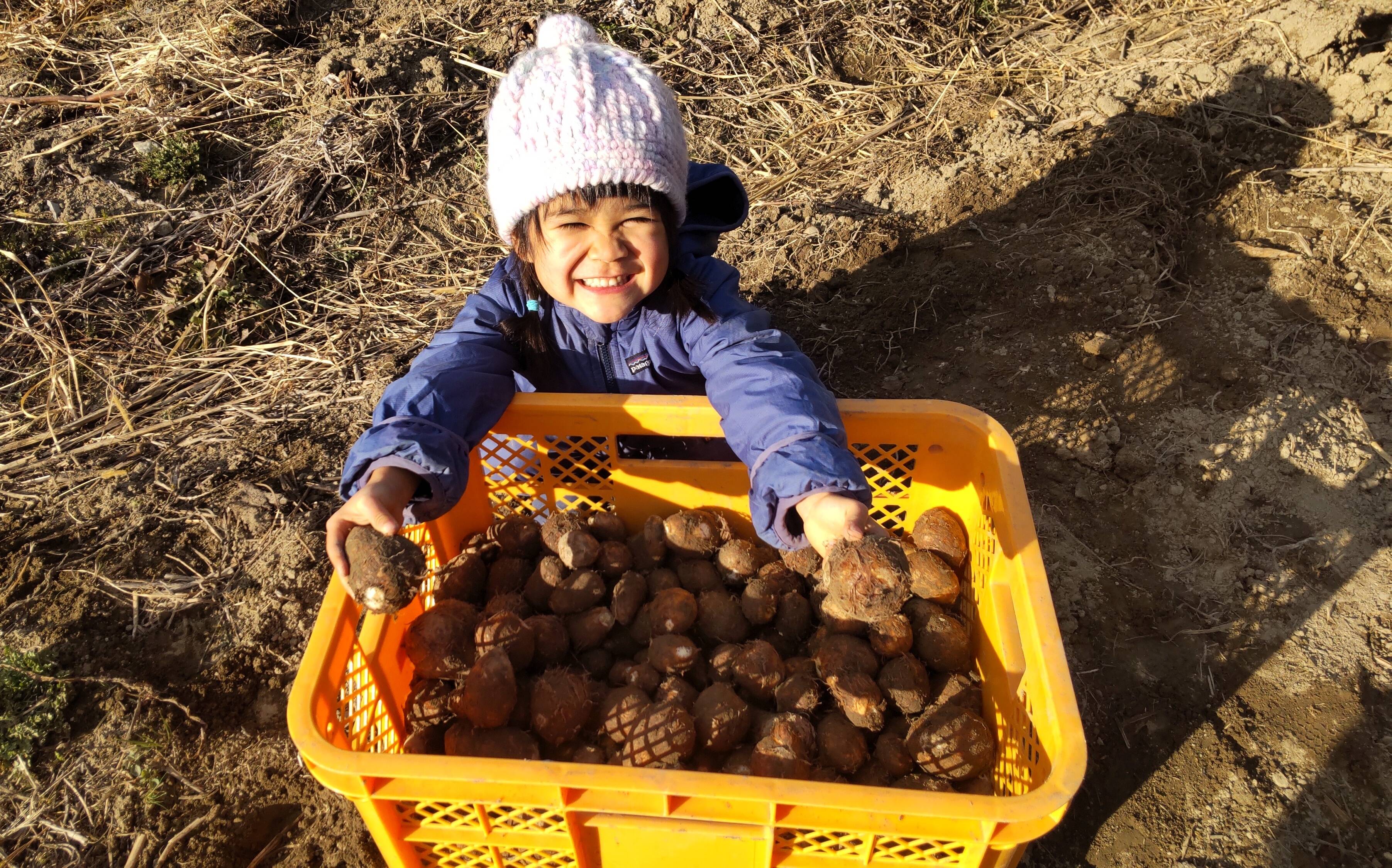 33f8e52498b707187b7ed39c271071