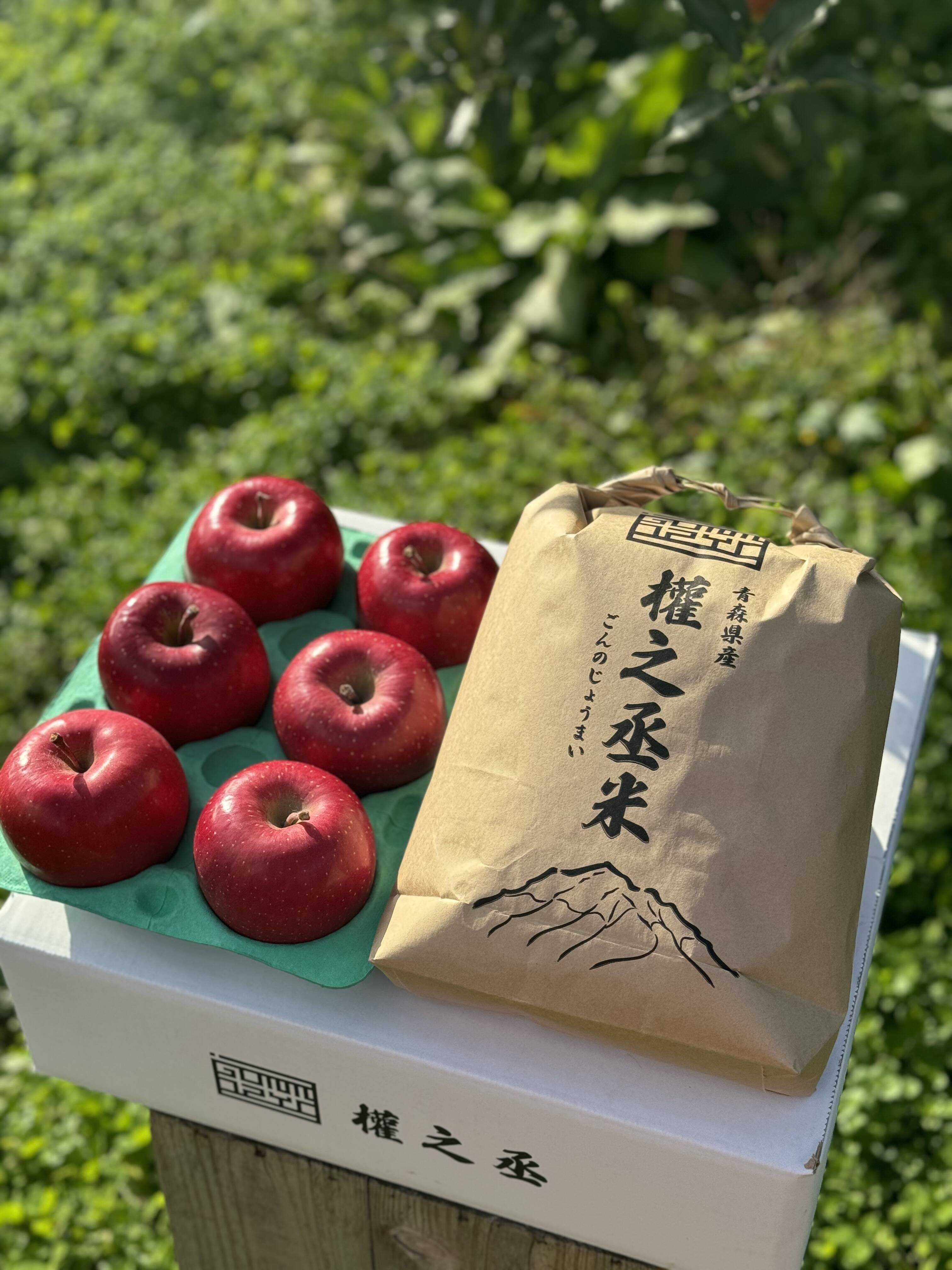 りんご＆お米！ まっしぐら（白米）5kgと葉取らずコスモふじ（家庭用