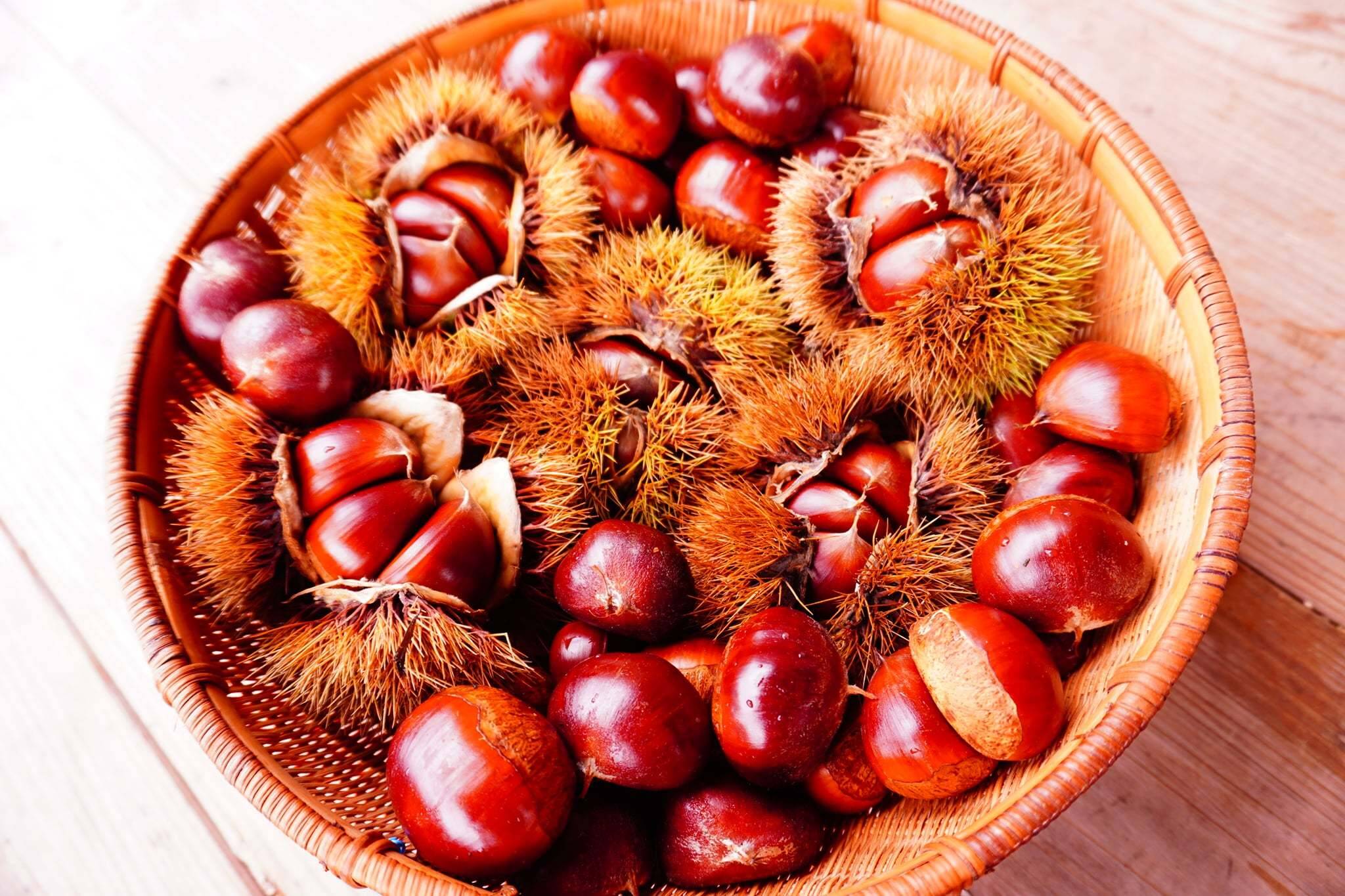 🌰お得な大容量🌰 熊本産 自然栽培和栗 10kg：熊本県産の丹沢栗｜食べチョク｜産地直送(産直)お取り寄せ通販 - 農家・漁師から旬の食材を直送