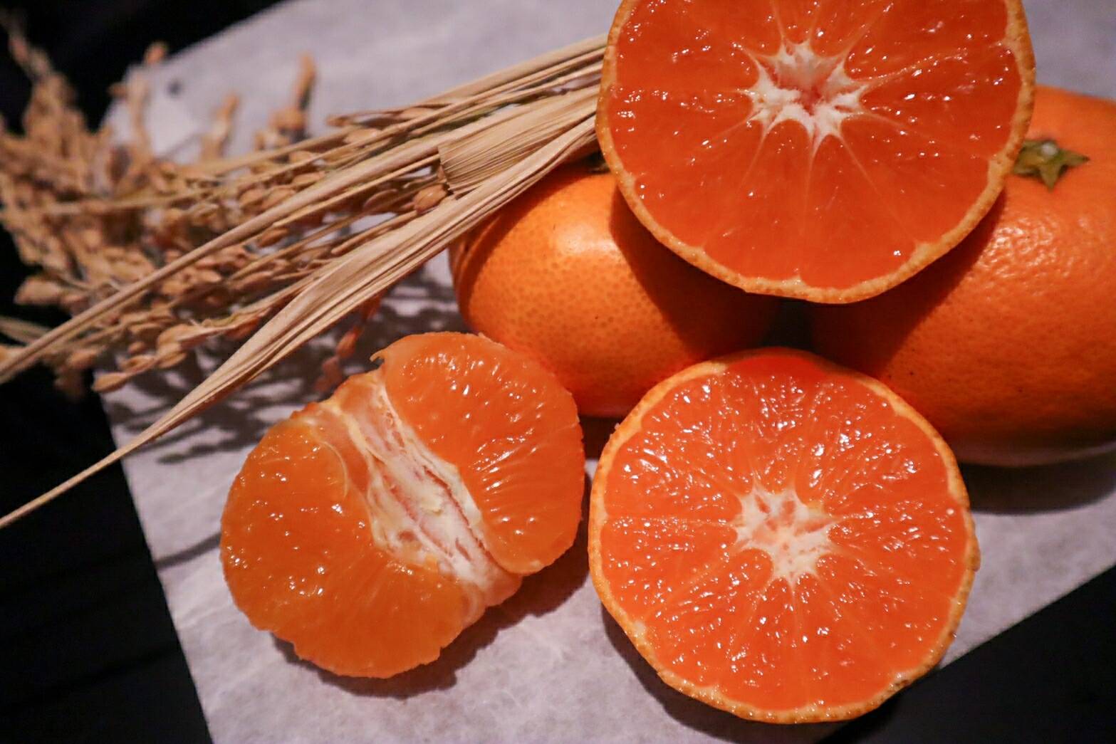 B級品/5kg】化学農薬不使用！幻のブランド”高根島みかん” 島の恵みが