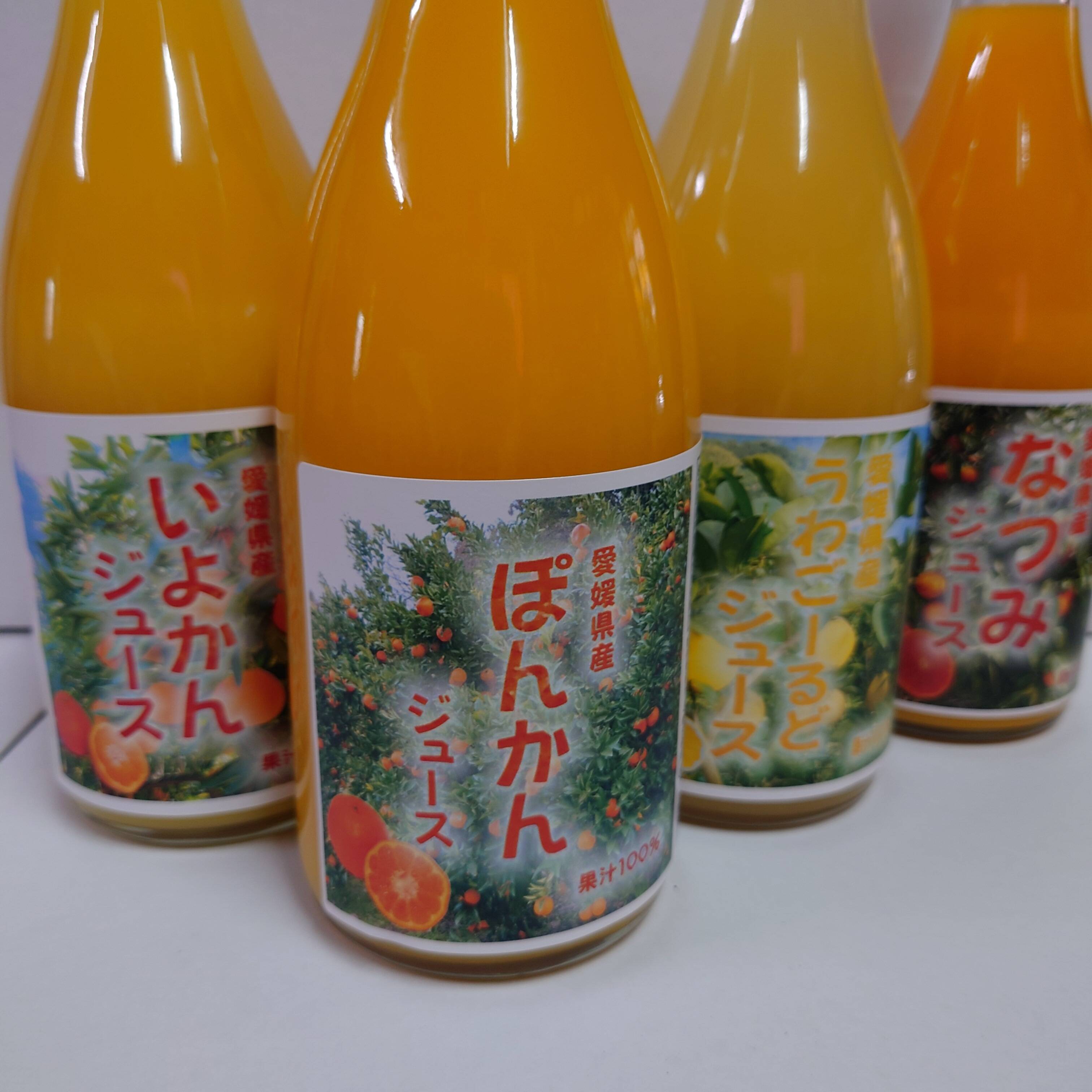 愛媛県産いよかんジュース 720ml 6本セット - 酒