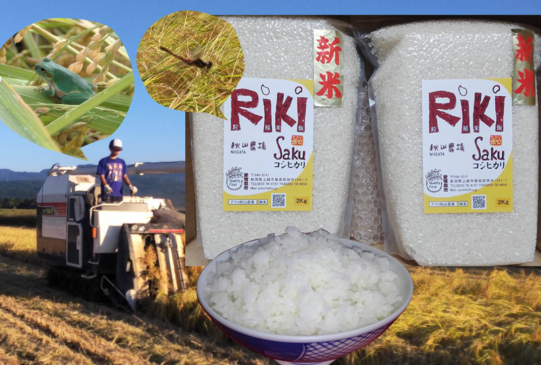 【女性に人気】【分づき米】2Kg×2袋「あま～い」 「Riki-Saku