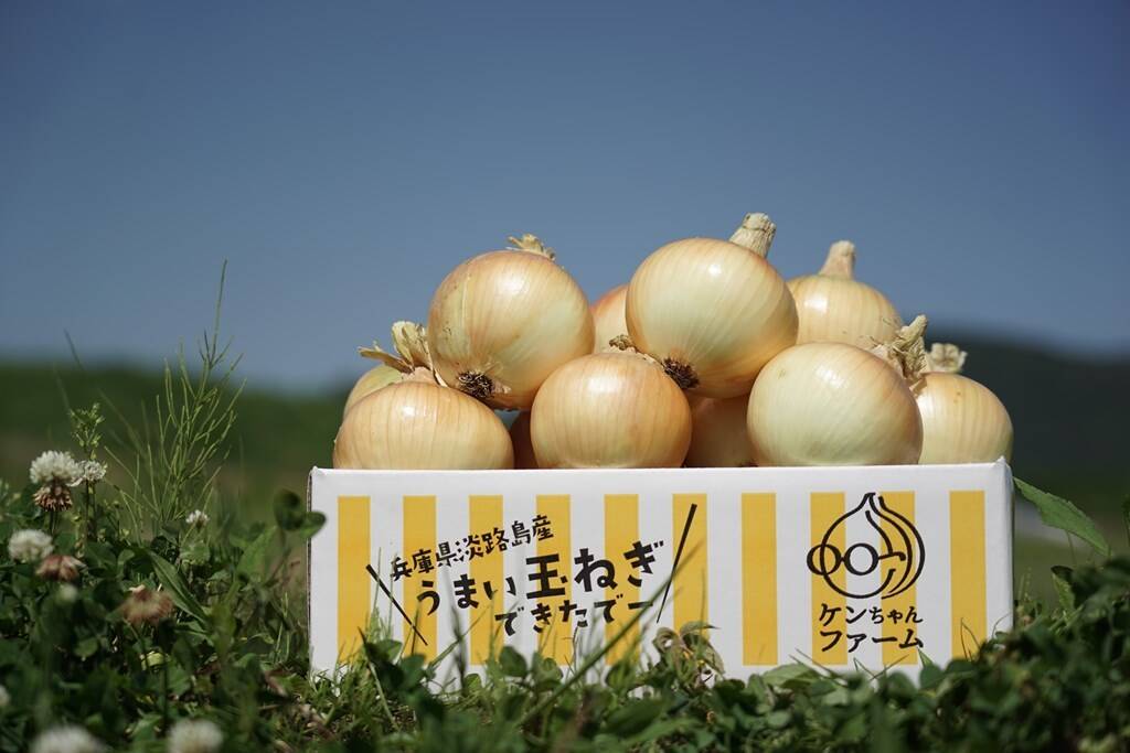 即納豊富なawaji onion 様専用 野菜