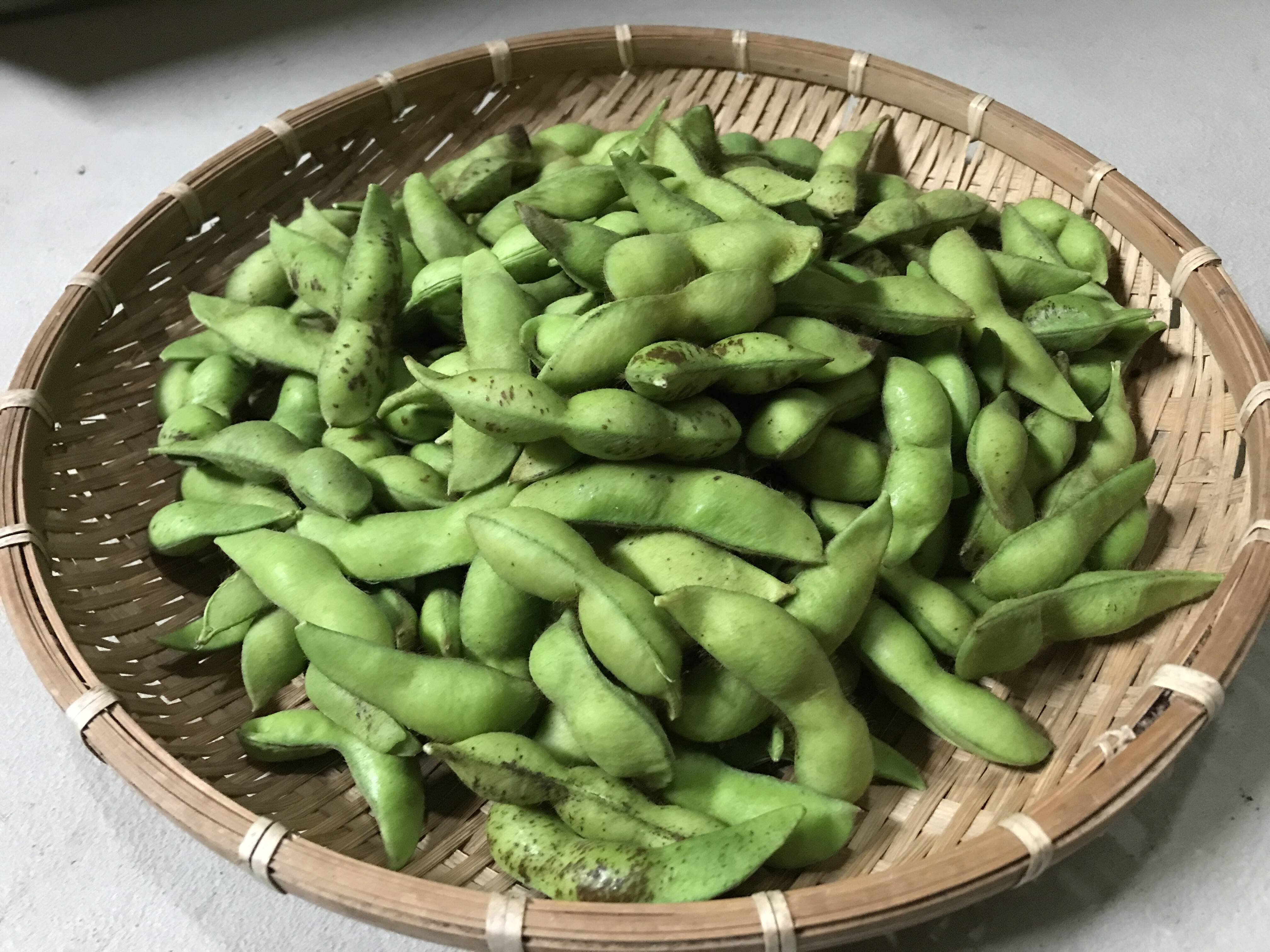R6京都丹波産 黒枝豆（1kg）：京都府産の丹波黒大豆枝豆