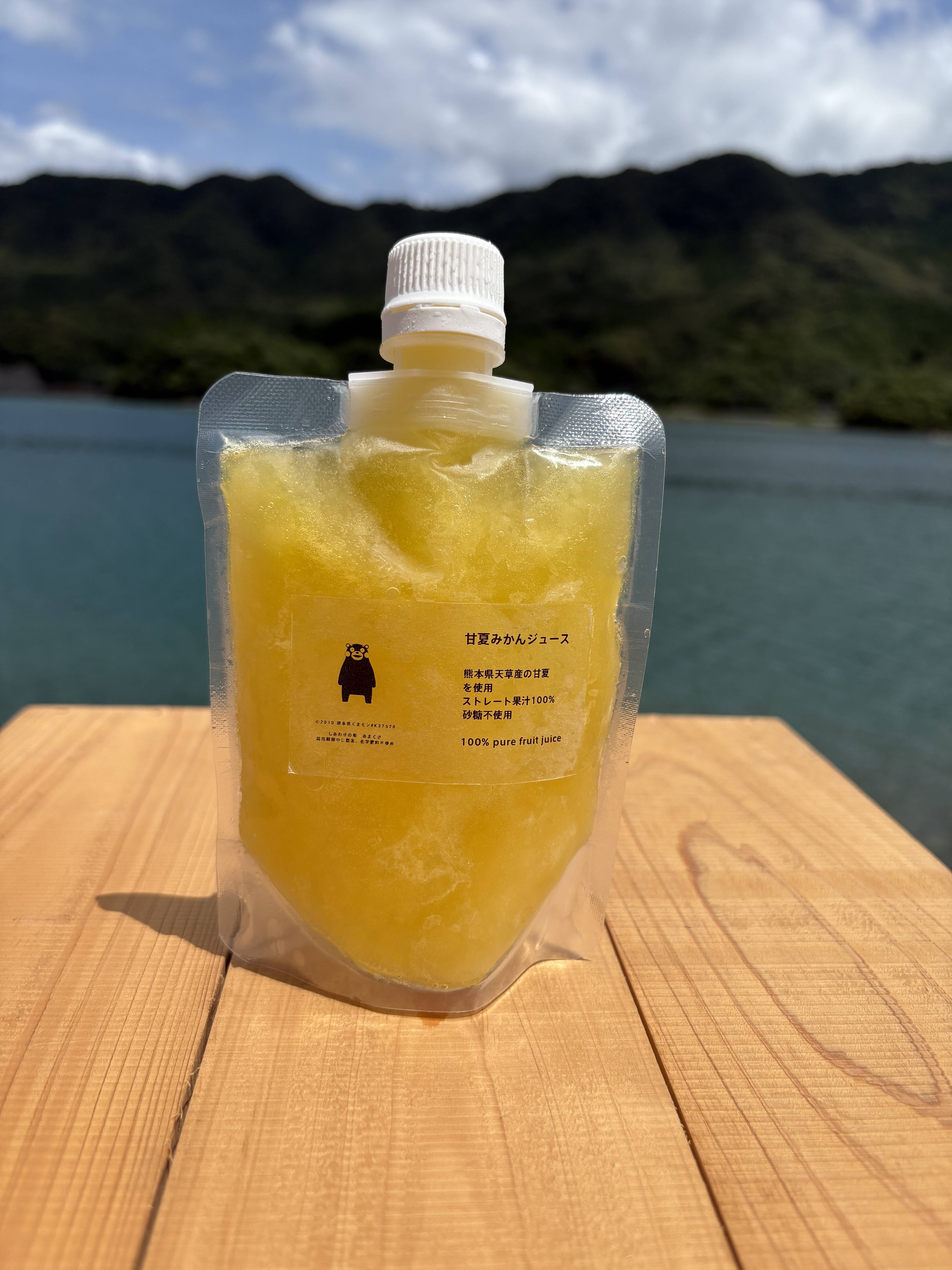 夏ギフト】冷凍甘夏みかんジュース6本セット（1本150ml）：熊本