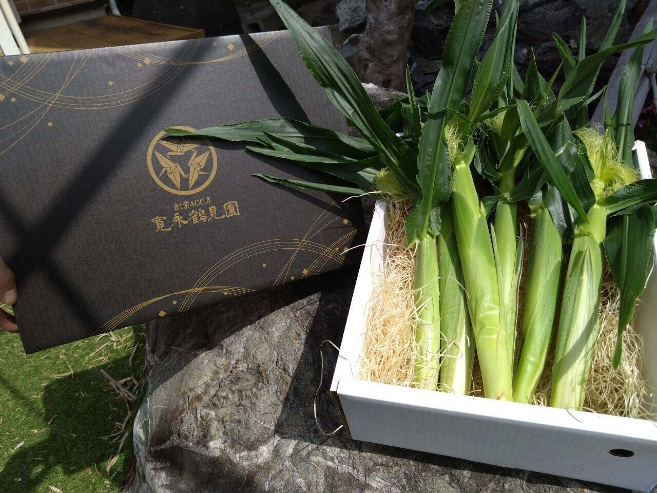 🌽最高糖度20度超🌽滅多に手に入らない『糖化熟成ヤングコーン