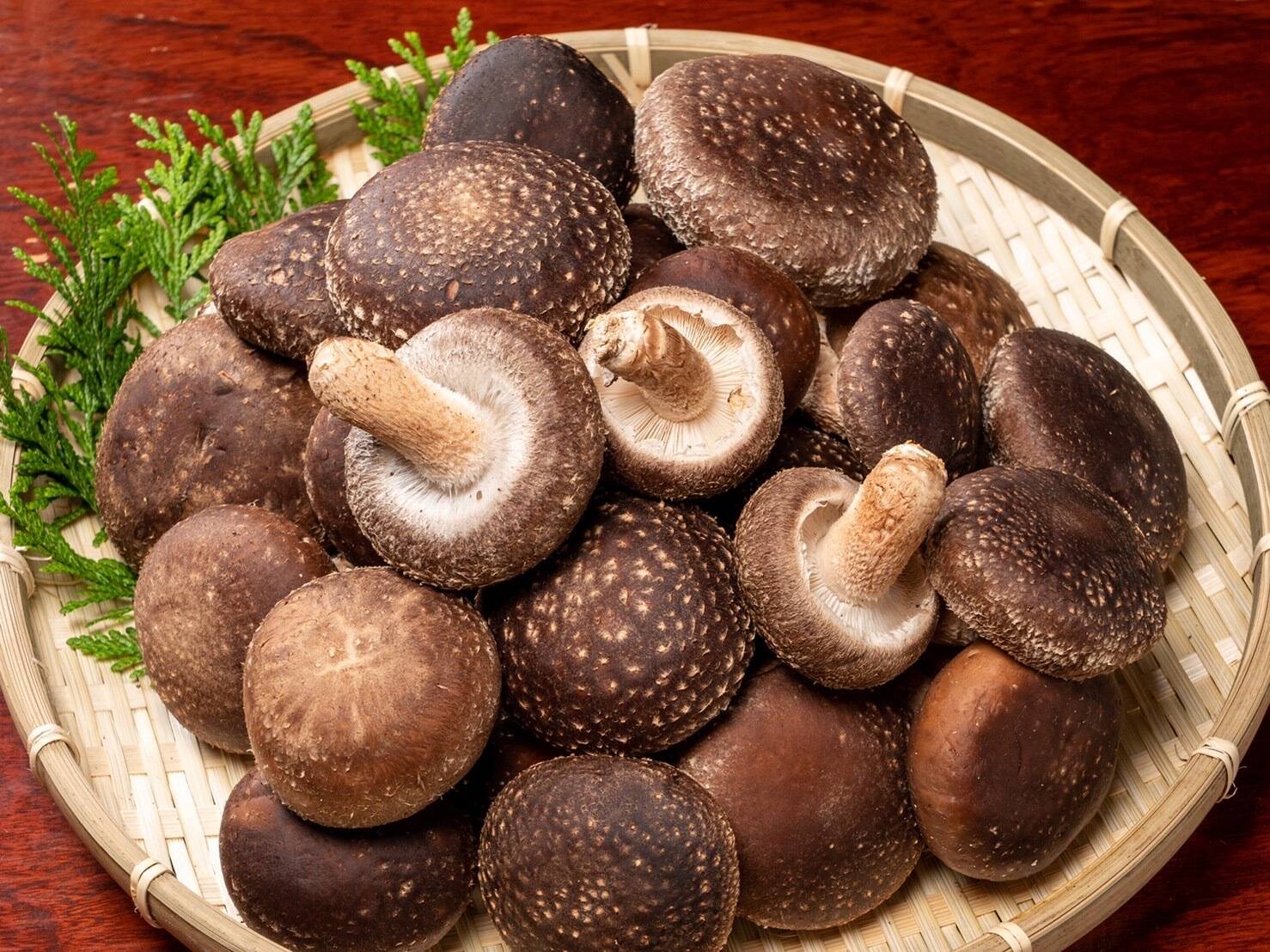 大自然の原木椎茸【1kg】：島根県産のシイタケ｜食べチョク｜産地直送