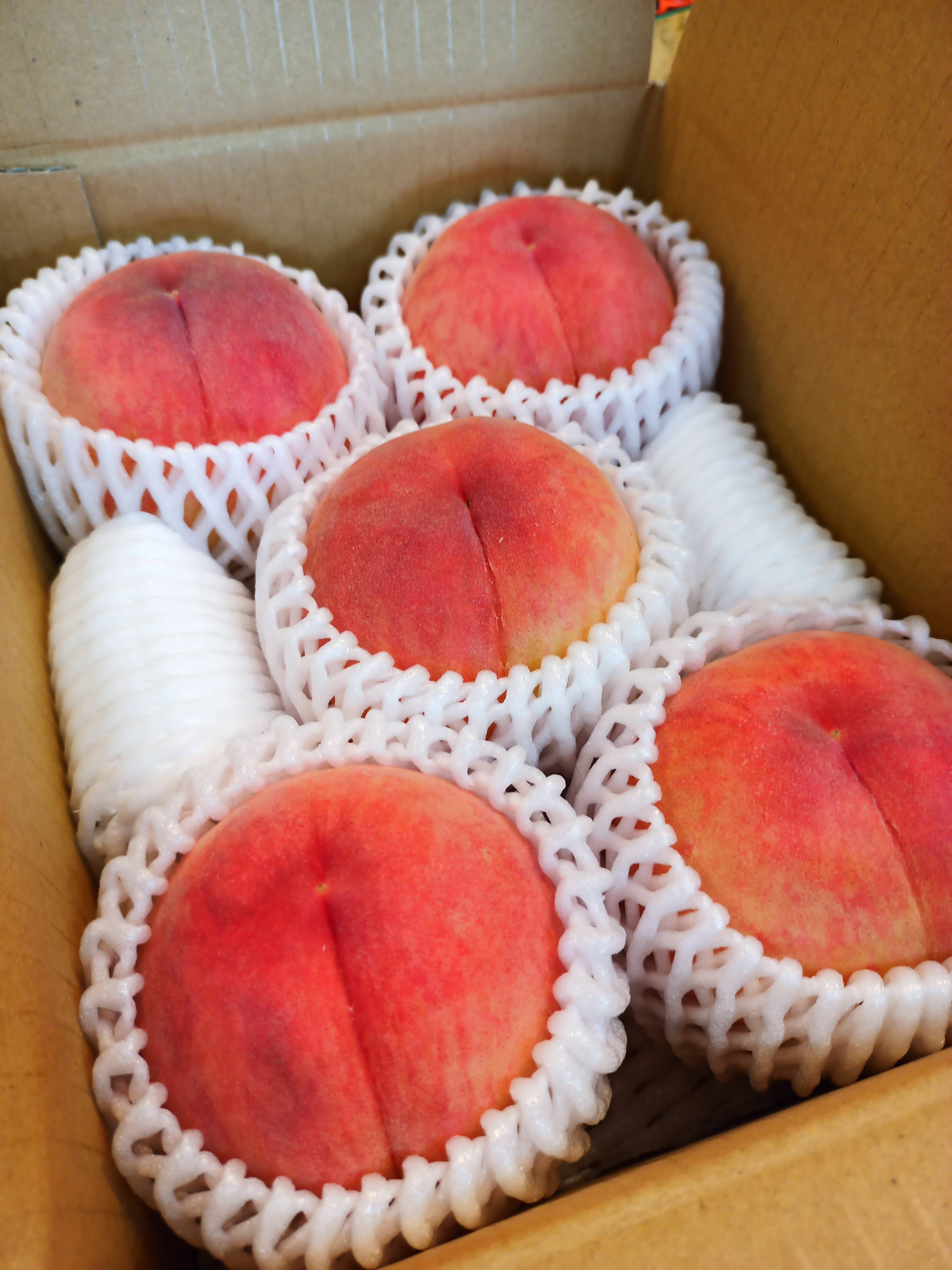 夏ギフト】品種おまかせ 4〜5玉（約1kg）【7月15日頃〜8月10日頃まで