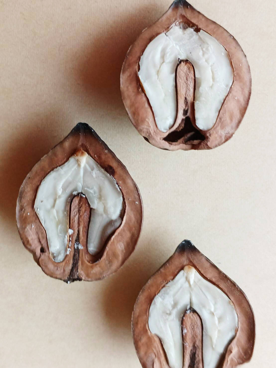 鬼くるみ】新潟県産 和クルミ 割り胡桃 農薬および化学肥料栽培期間中