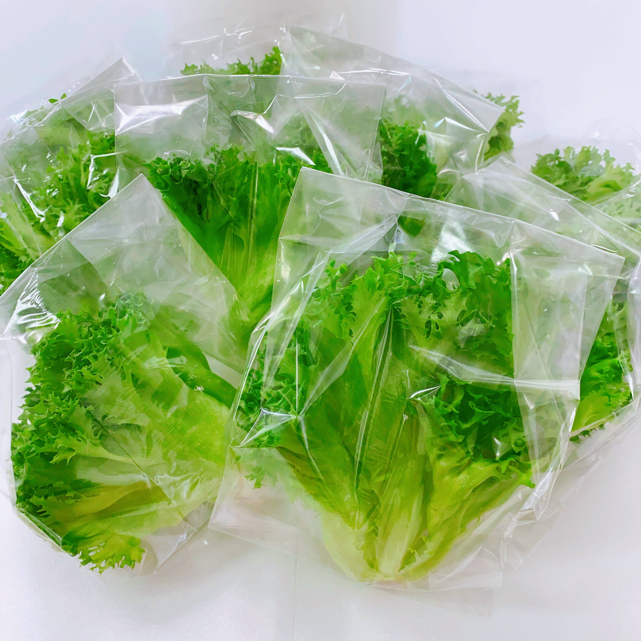 36254fc223a86ccb9403ebf4452a20