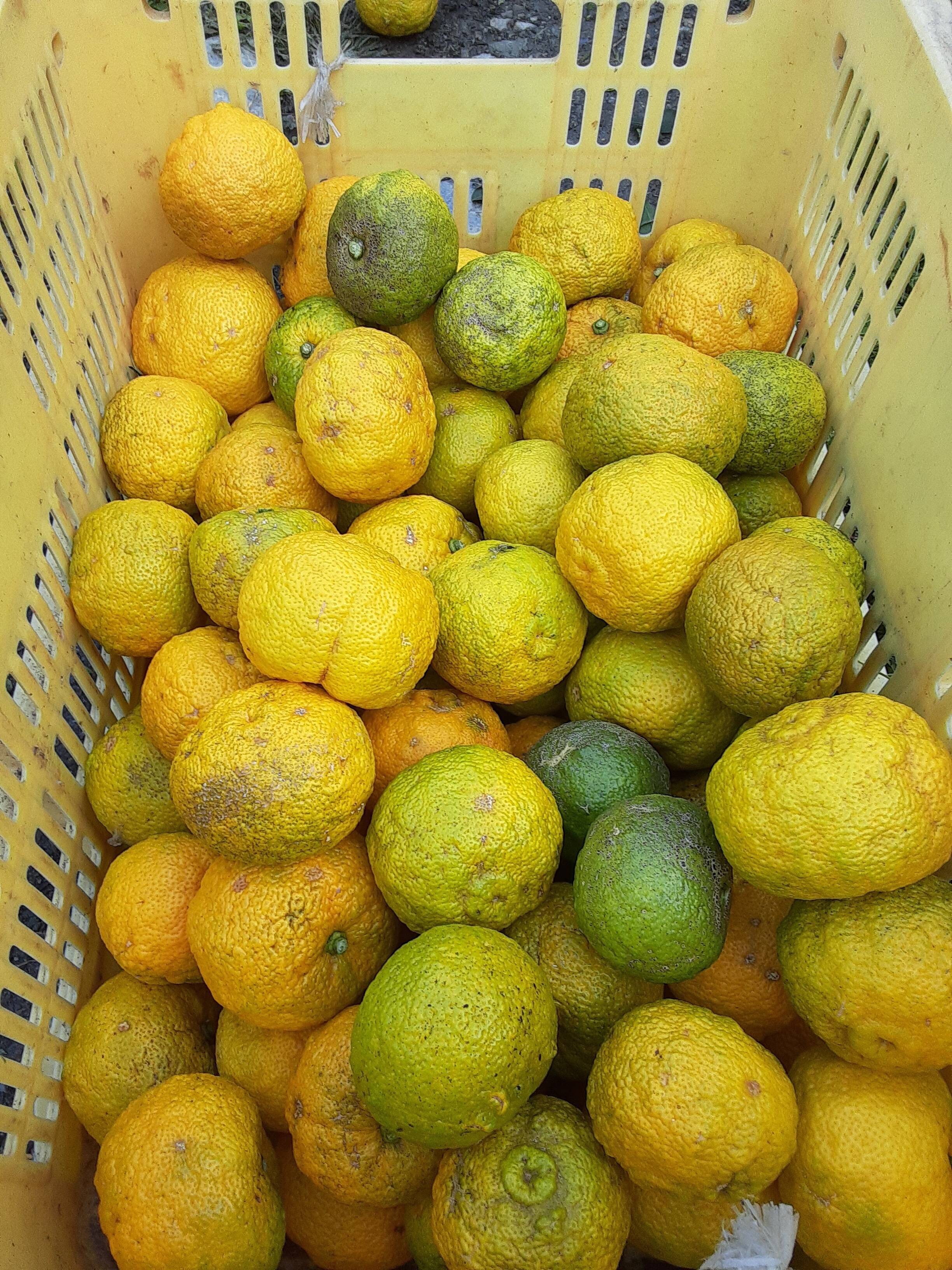 3659fa4d23e4d0986b9791fed32eb2