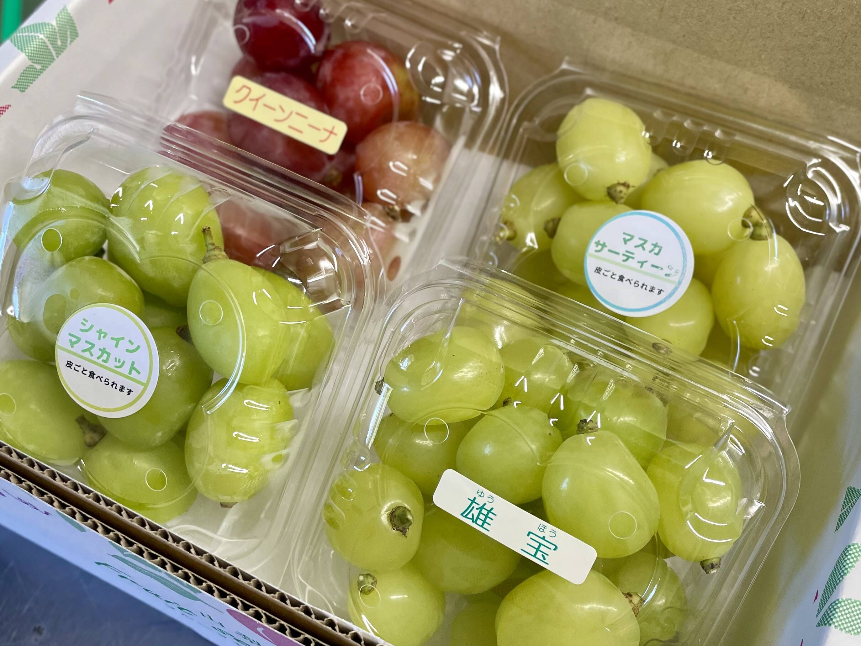 粒売り🍇【お試し】バラエティ4パック：山梨県産のシャインマスカット
