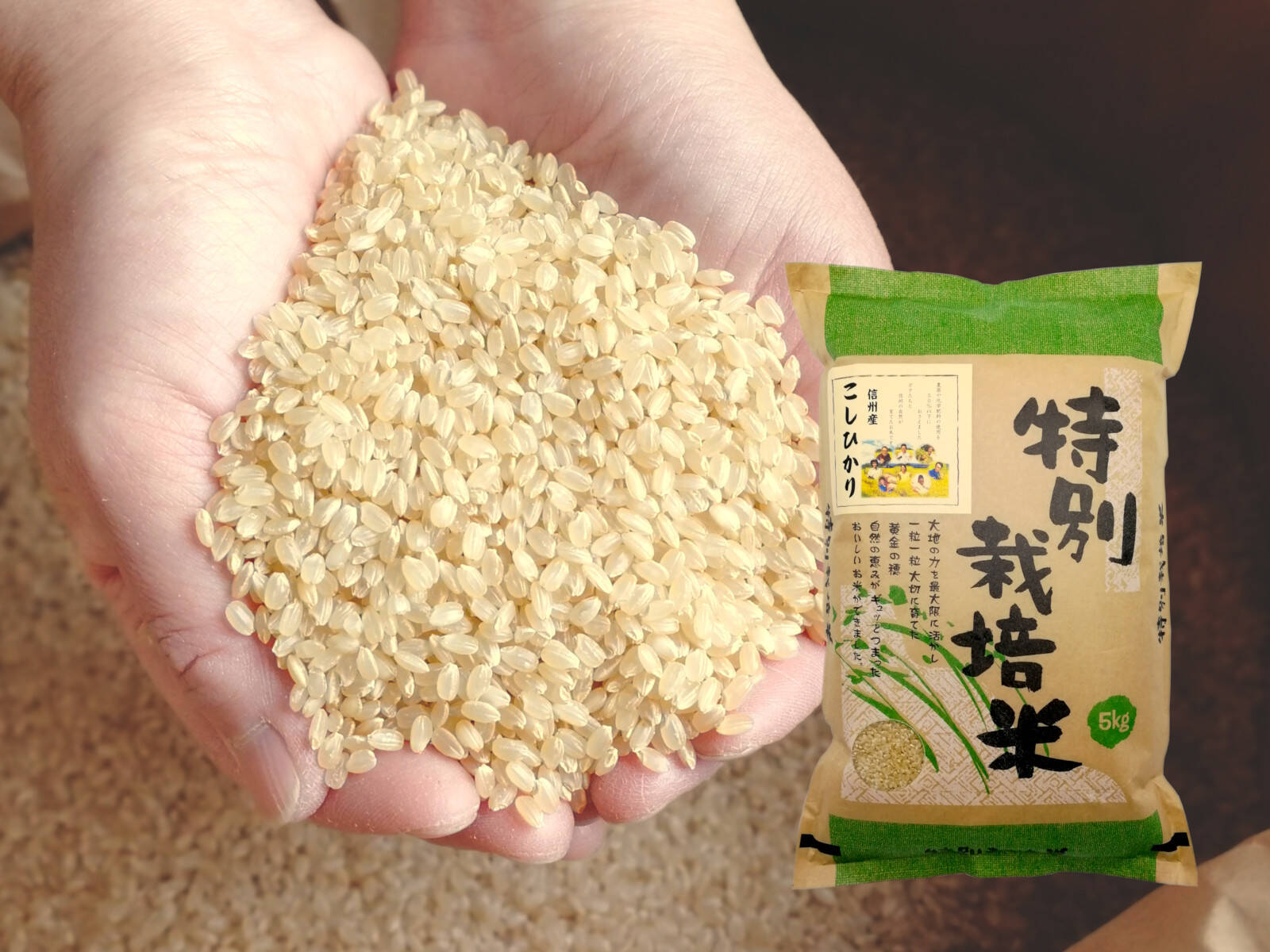 オーガニック 【新米】令和5年度愛知県産音羽米 無農薬玄米３０kg（5kg×6個）