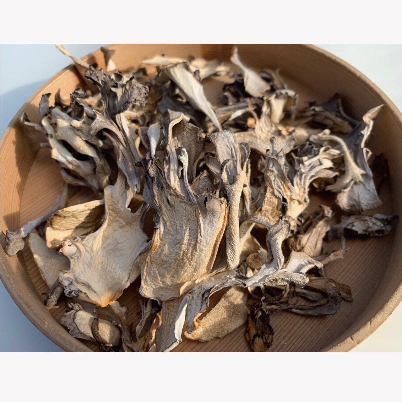 36aded0983c9ad64136ca61f98baf1