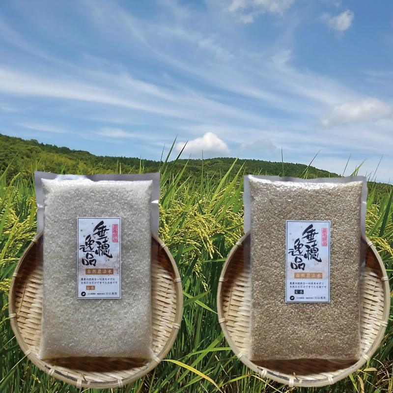 自然栽培　農薬化学肥料不使用  R4年度米愛媛県産ヒノヒカリ稲架掛け米 10k - 3