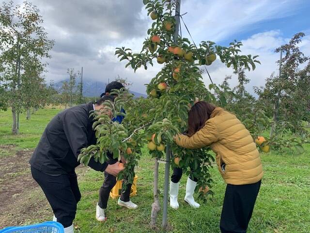 農家に変身！ 美味しい 収穫・農業体験 3名様