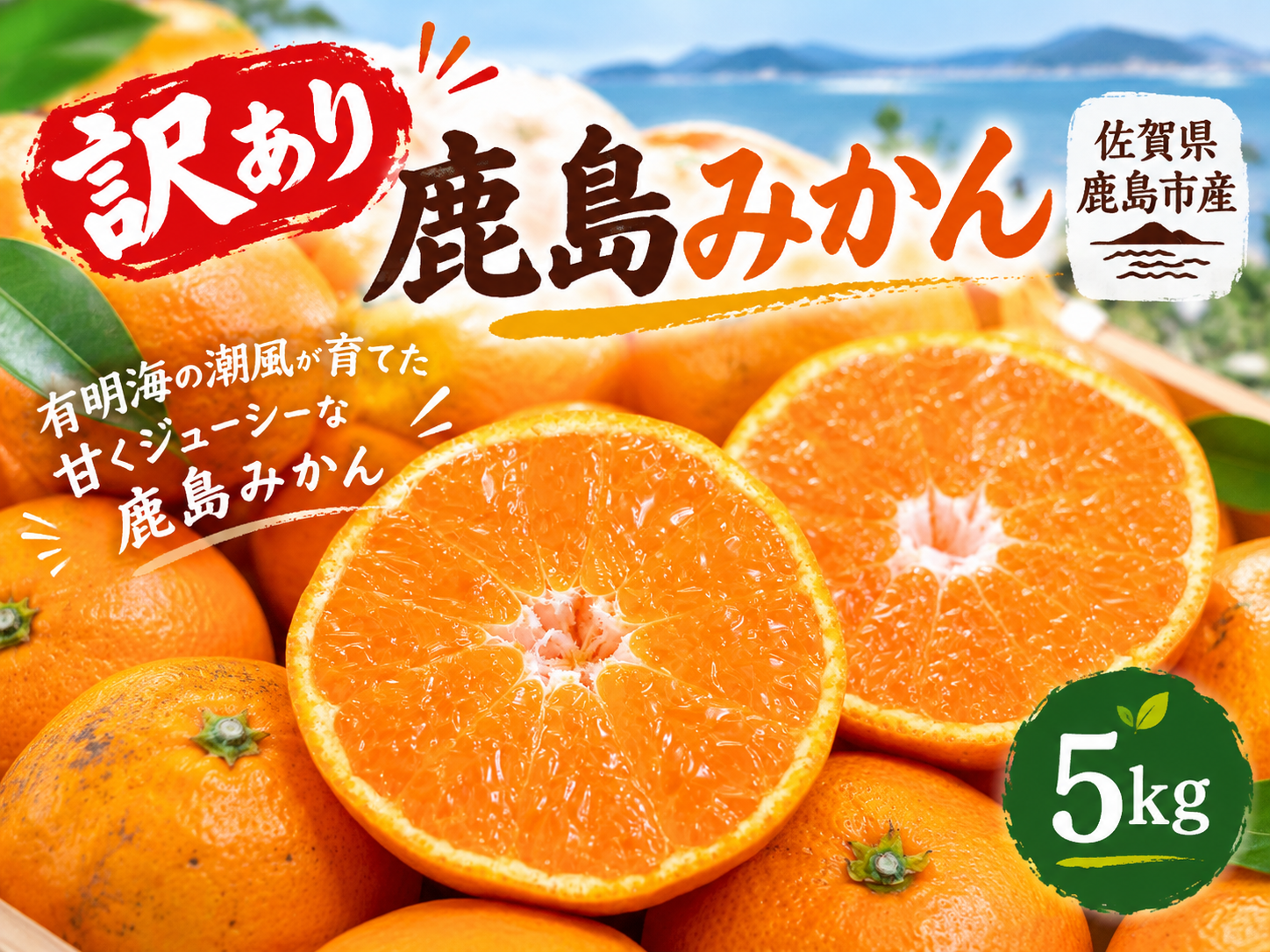 佐賀県鹿島市産・訳あり】鹿島みかん 5kg｜傷あり・ご家庭用 有明海の