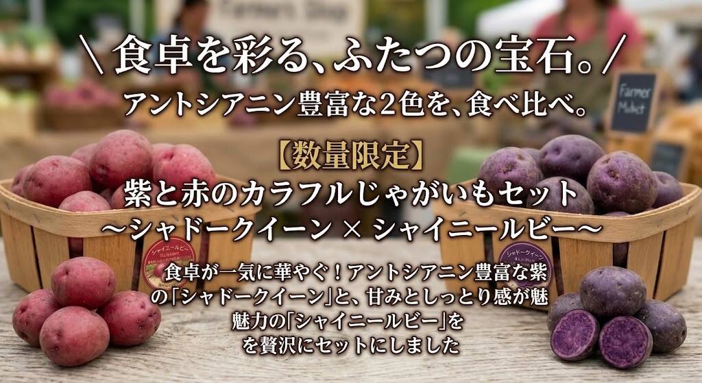 数量限定】紫と赤のカラフルじゃがいも各2kg 合計4kg〜シャドー