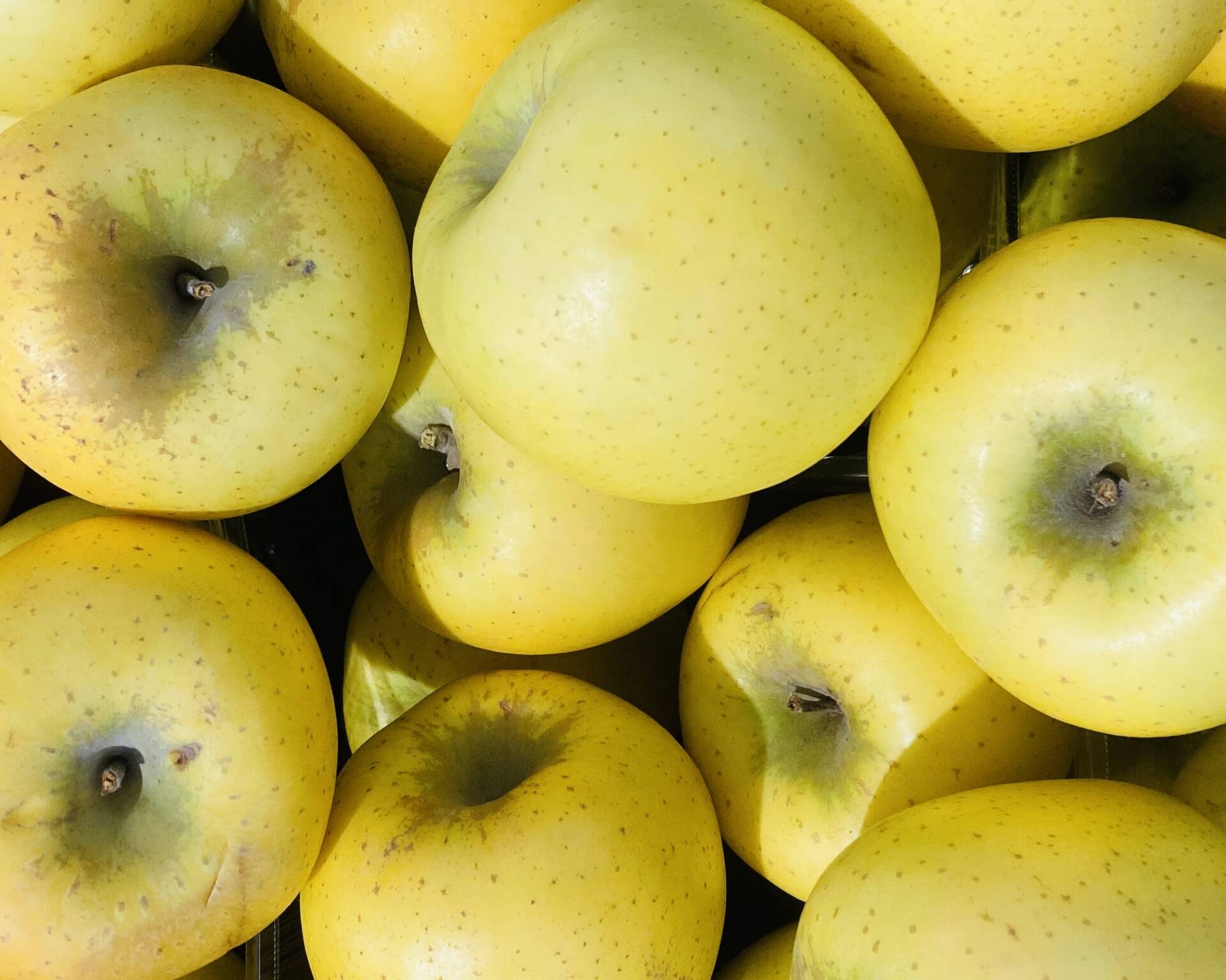 36e8494b21f128bbb2b0724a0684d4