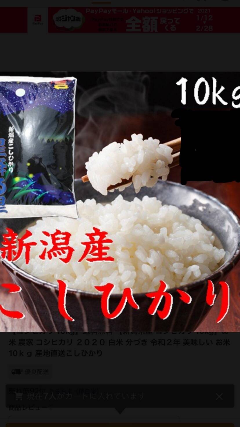 コシヒカリ 10kg 白米 令和二年産 新潟県産 食べチョク 農家 漁師の産直ネット通販 旬の食材を生産者直送