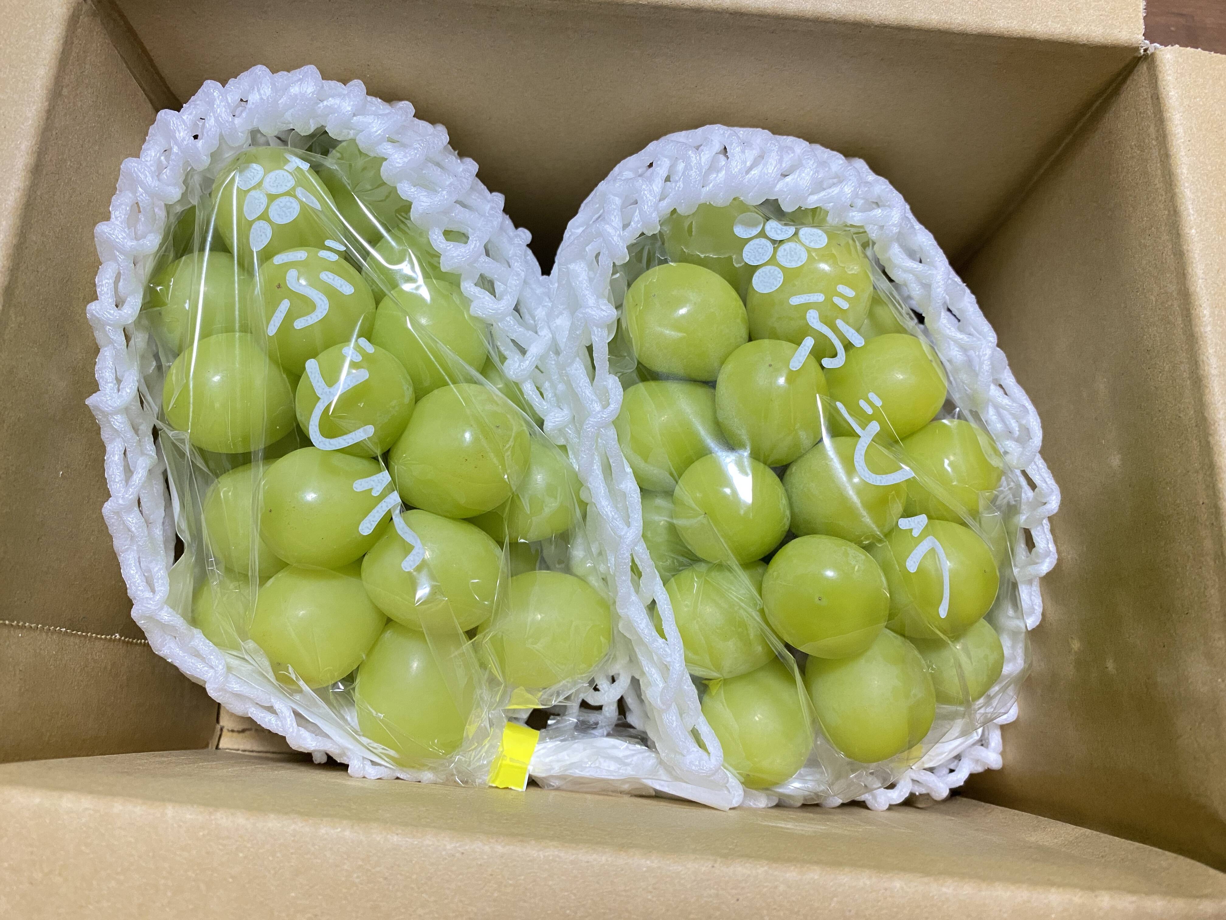 長野県産『シャインマスカット』家庭用1kg以上(2〜3房) 発送9月中旬